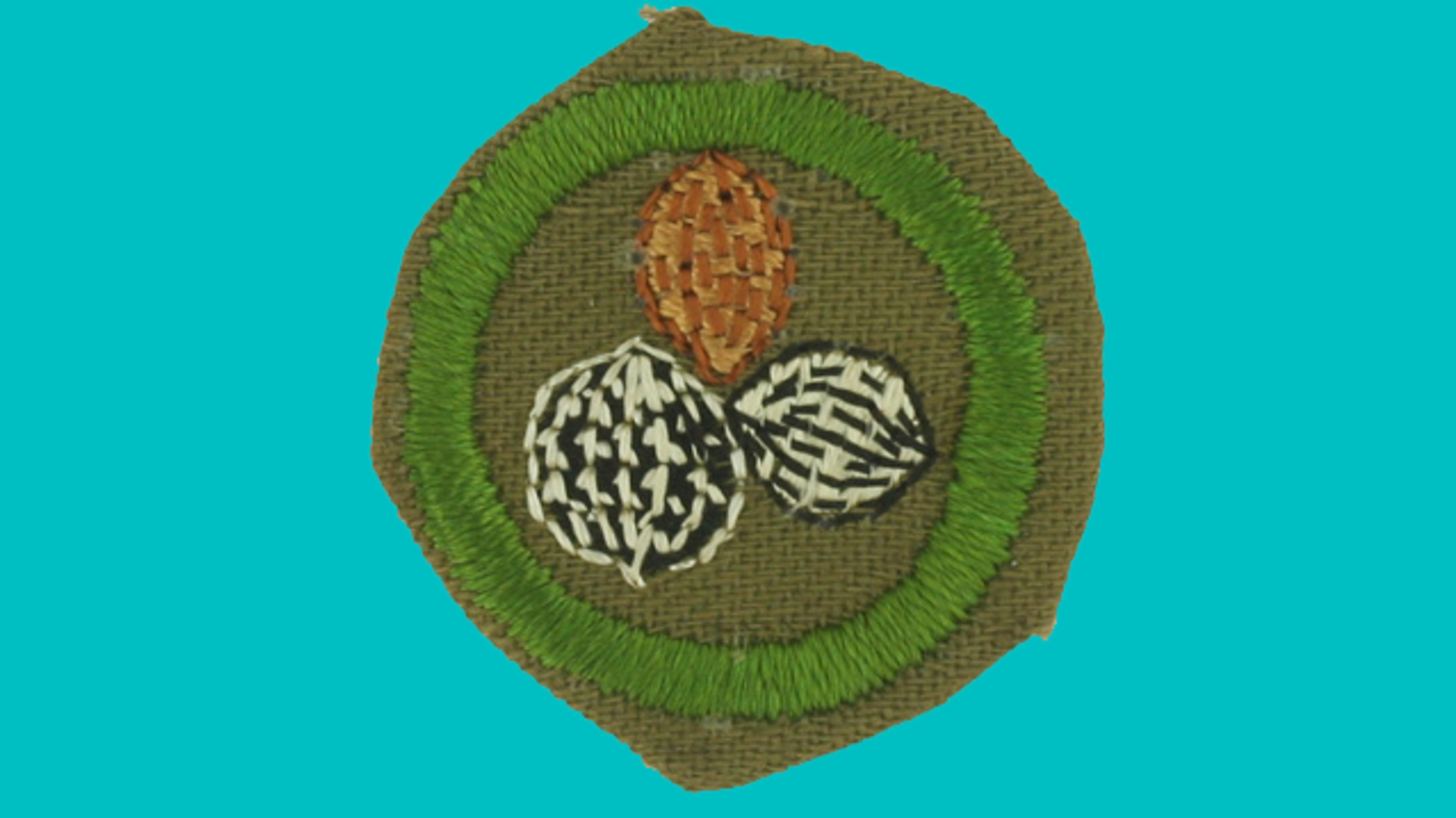 12 Discontinued Boy Scout Merit Badges | Mental Floss