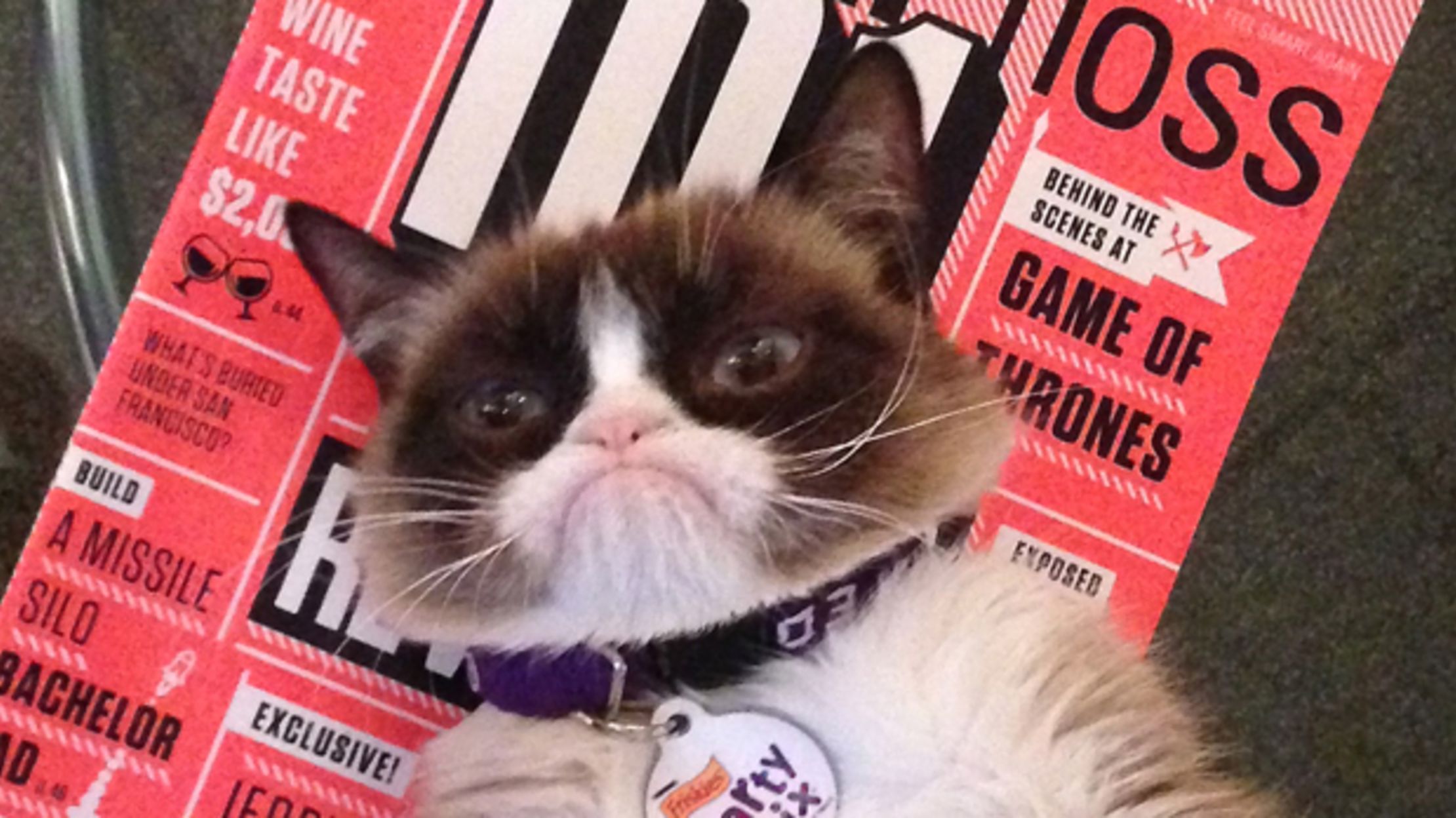 Grumpy Cat Came To Mental Floss Today Mental Floss