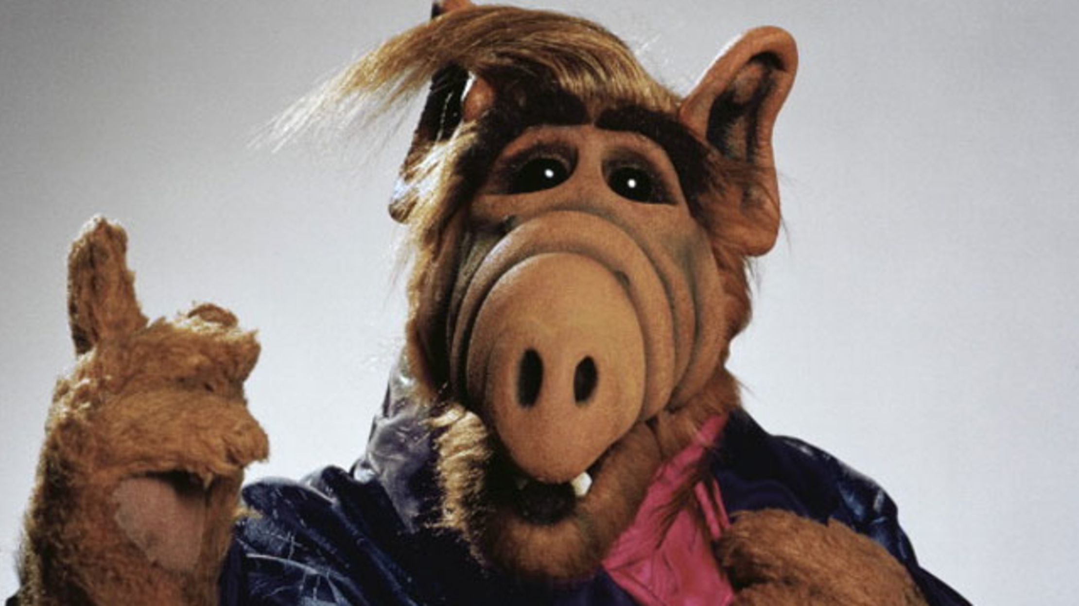 25 Fun Facts About Alf Mental Floss