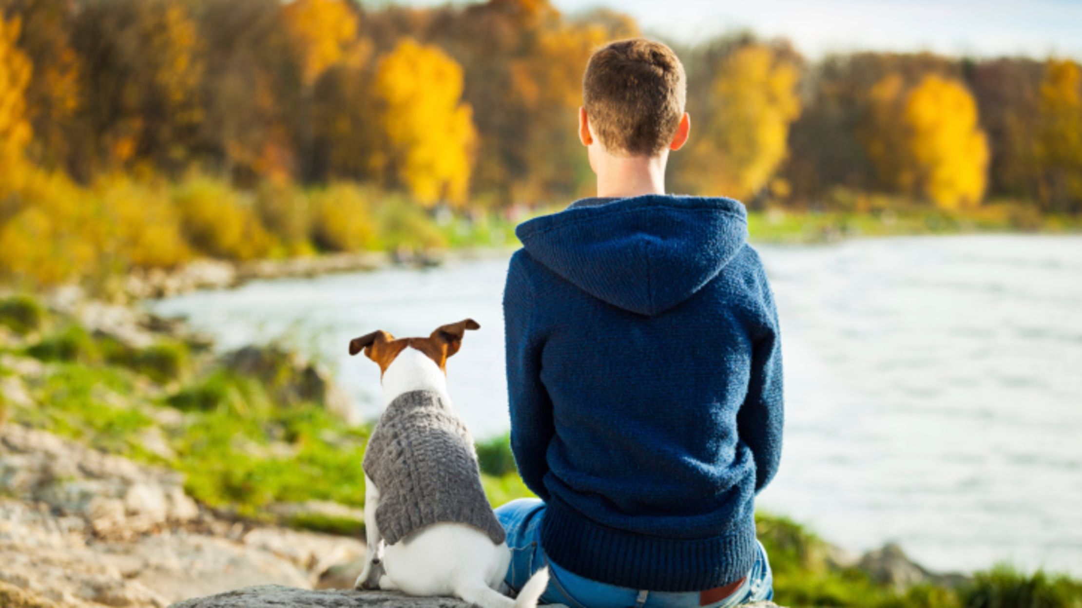 Can Dogs Understand Human Emotions? Mental Floss