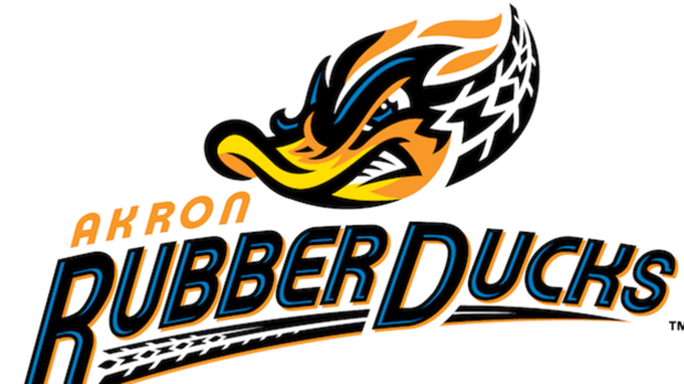 rubber ducks logo