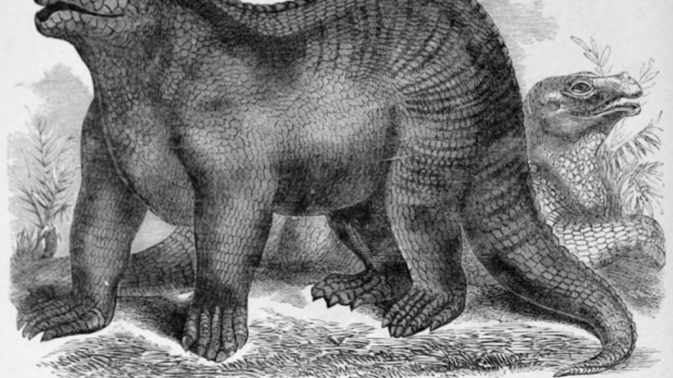 dinosaur old cartoon