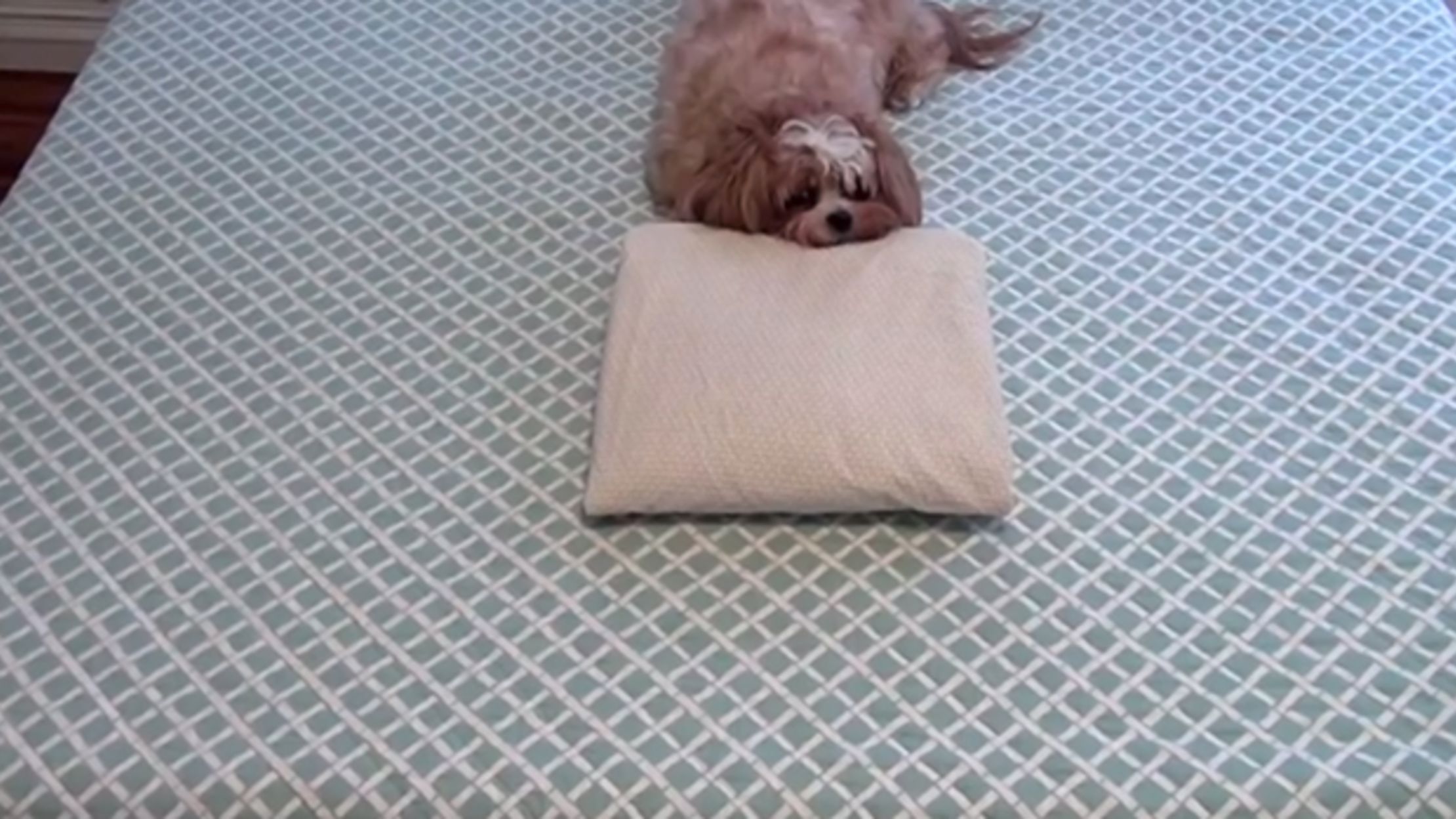 How to Fold a Fitted Sheet Mental Floss