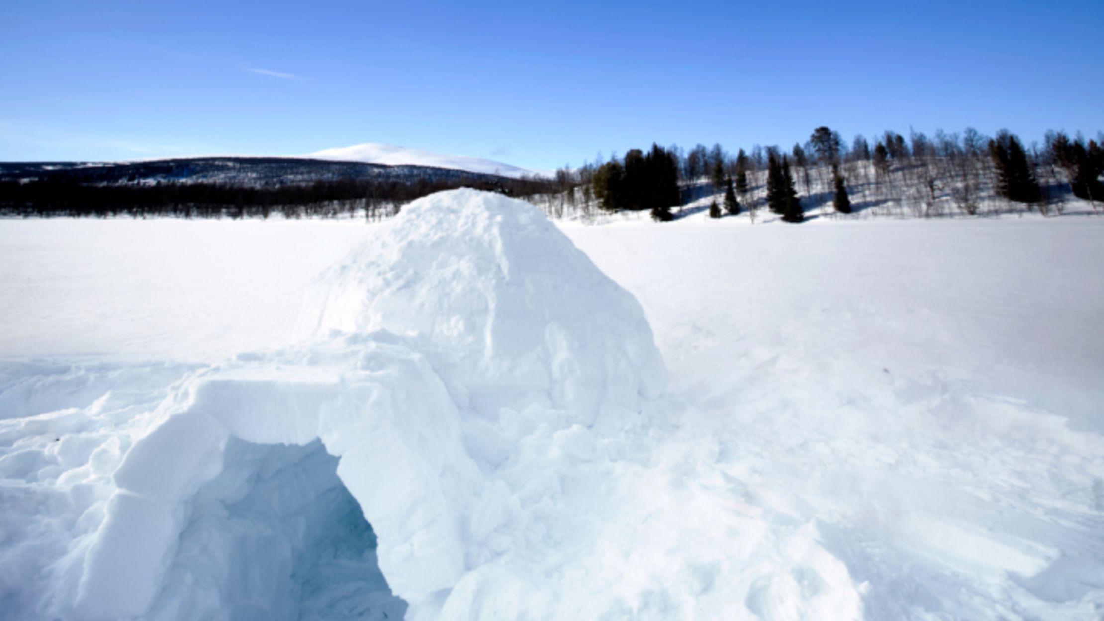 15 Delightful Snow Projects Mental Floss
