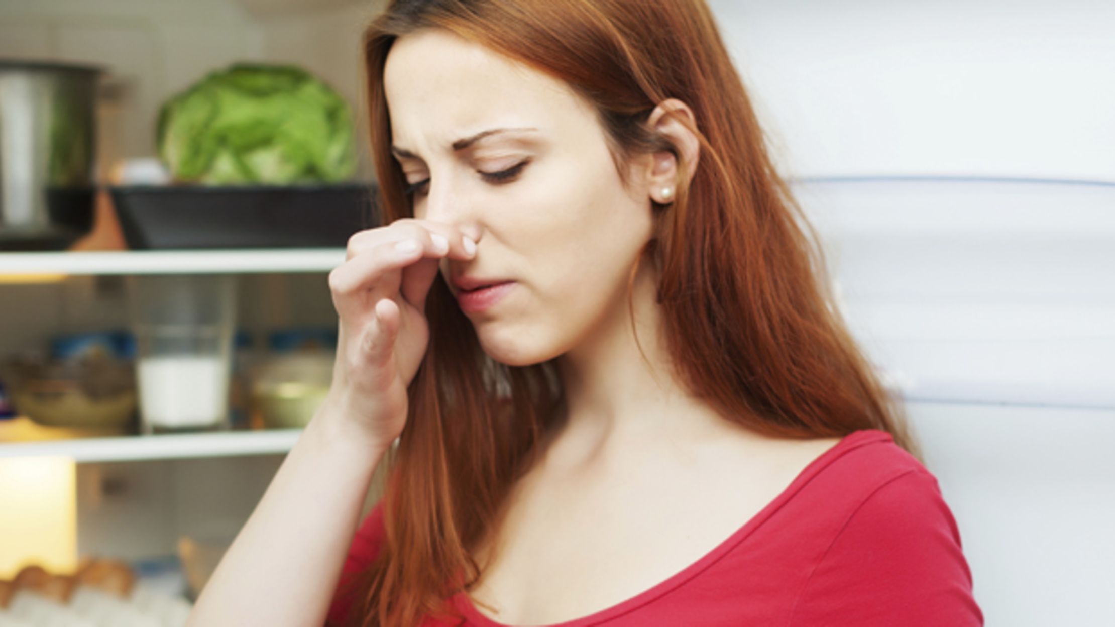 15 Tips for a Squeaky Clean Fridge Mental Floss