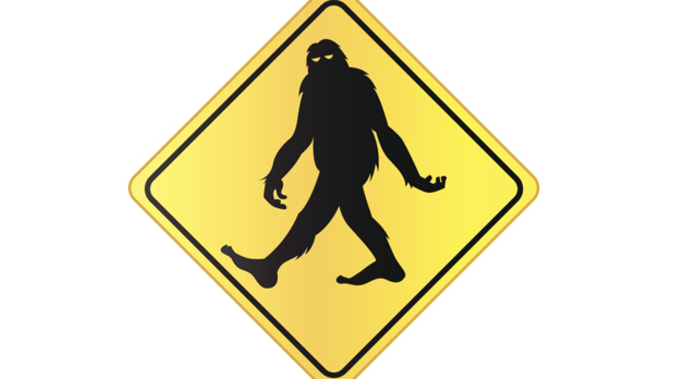 Strange States: Florida's Skunk Ape | Mental Floss