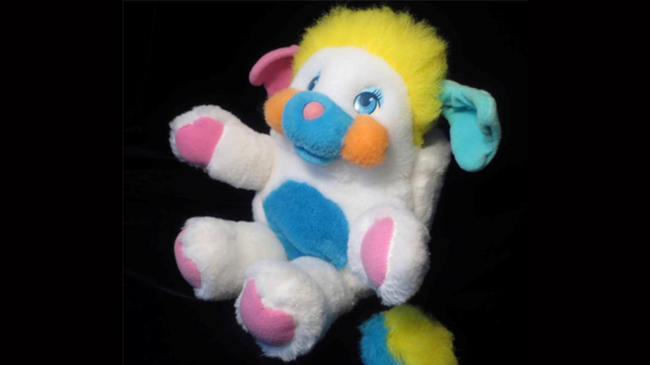 popple teddy