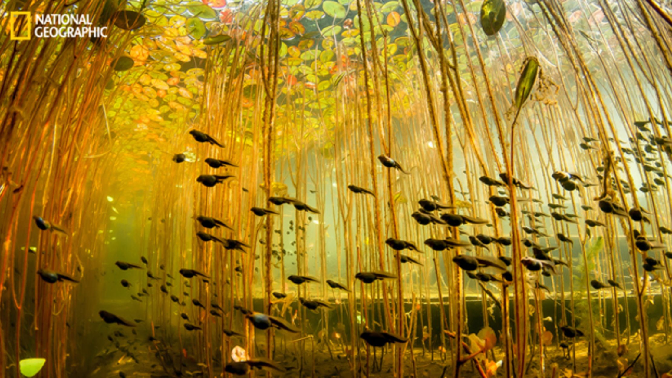 10 Beautiful Photos from National Geographic's Your Shot Community