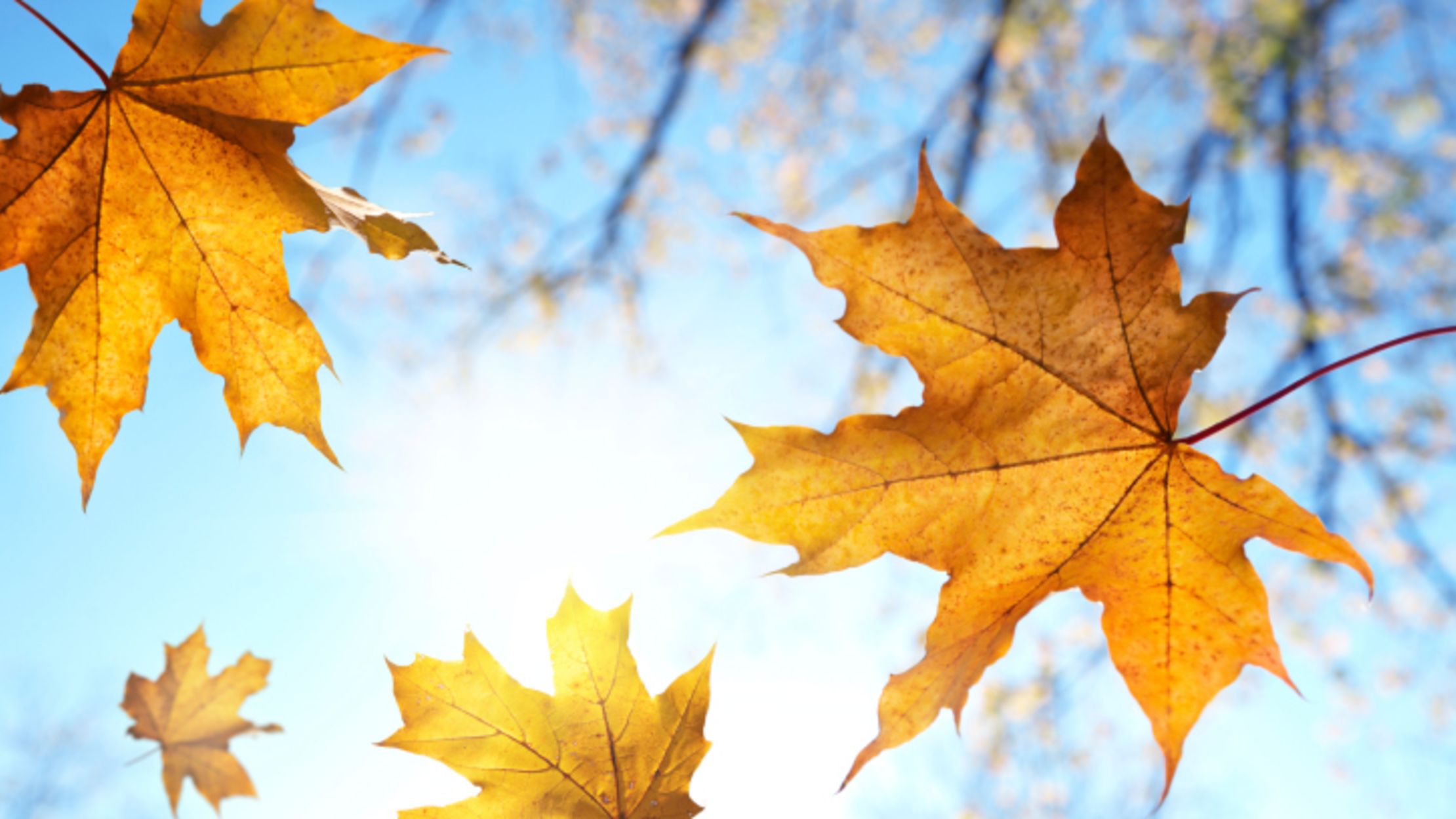 How Did the Seasons Get Their Names? | Mental Floss How Did the Seasons Get Their Names? | Mental Floss