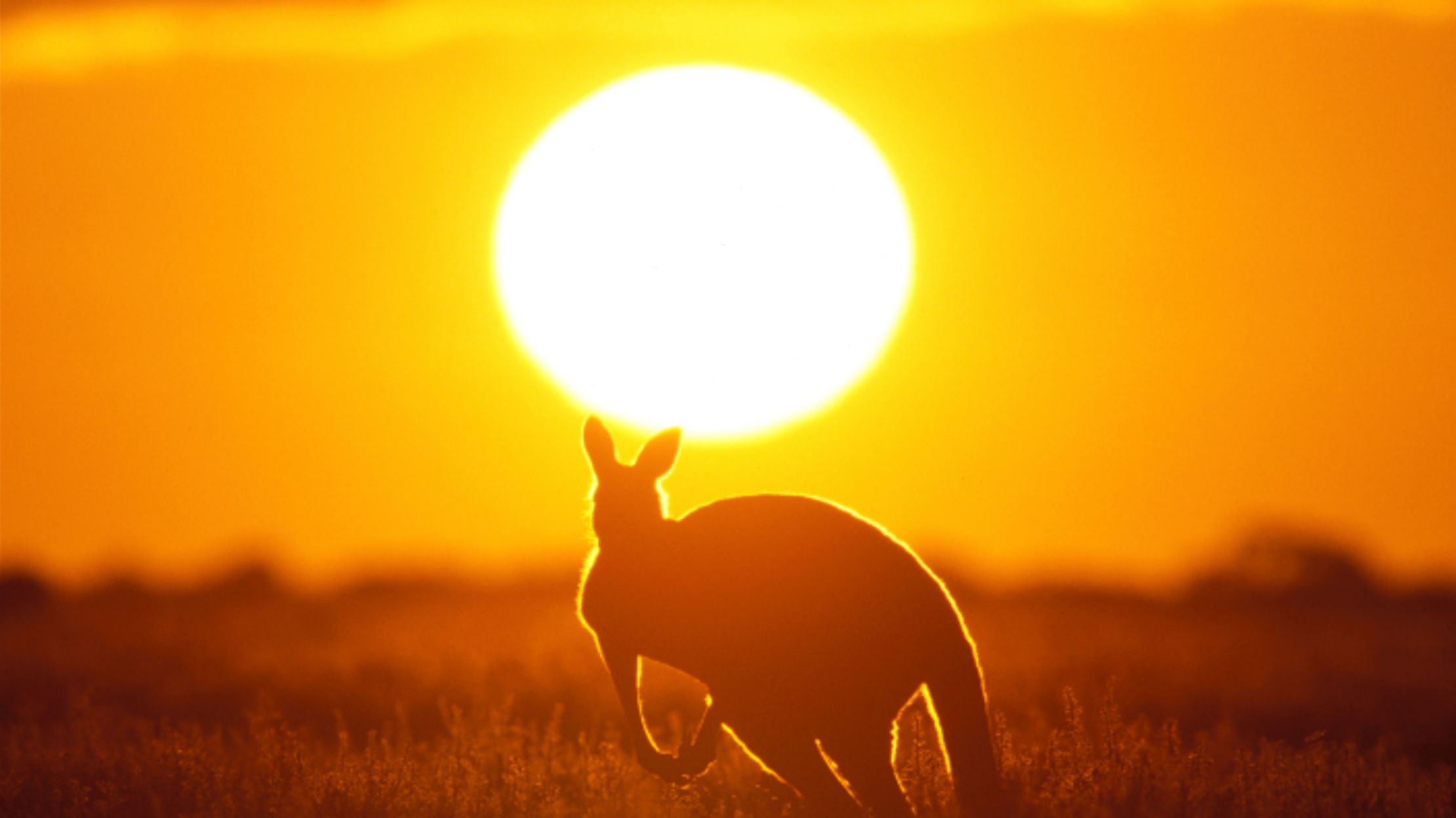 Watch Australians Explain How to Do an Australian Accent Mental Floss