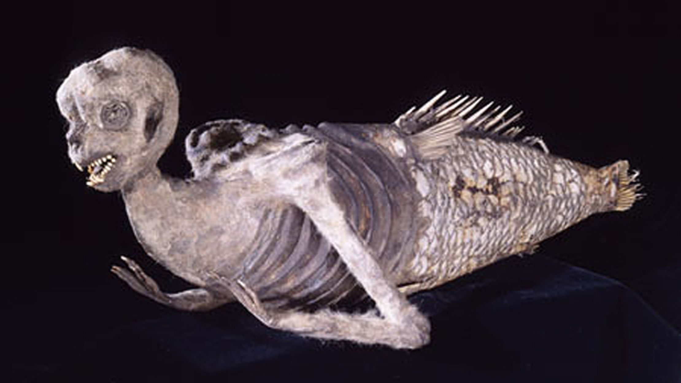 11 Famous Mermaids And Their Creators Mental Floss
