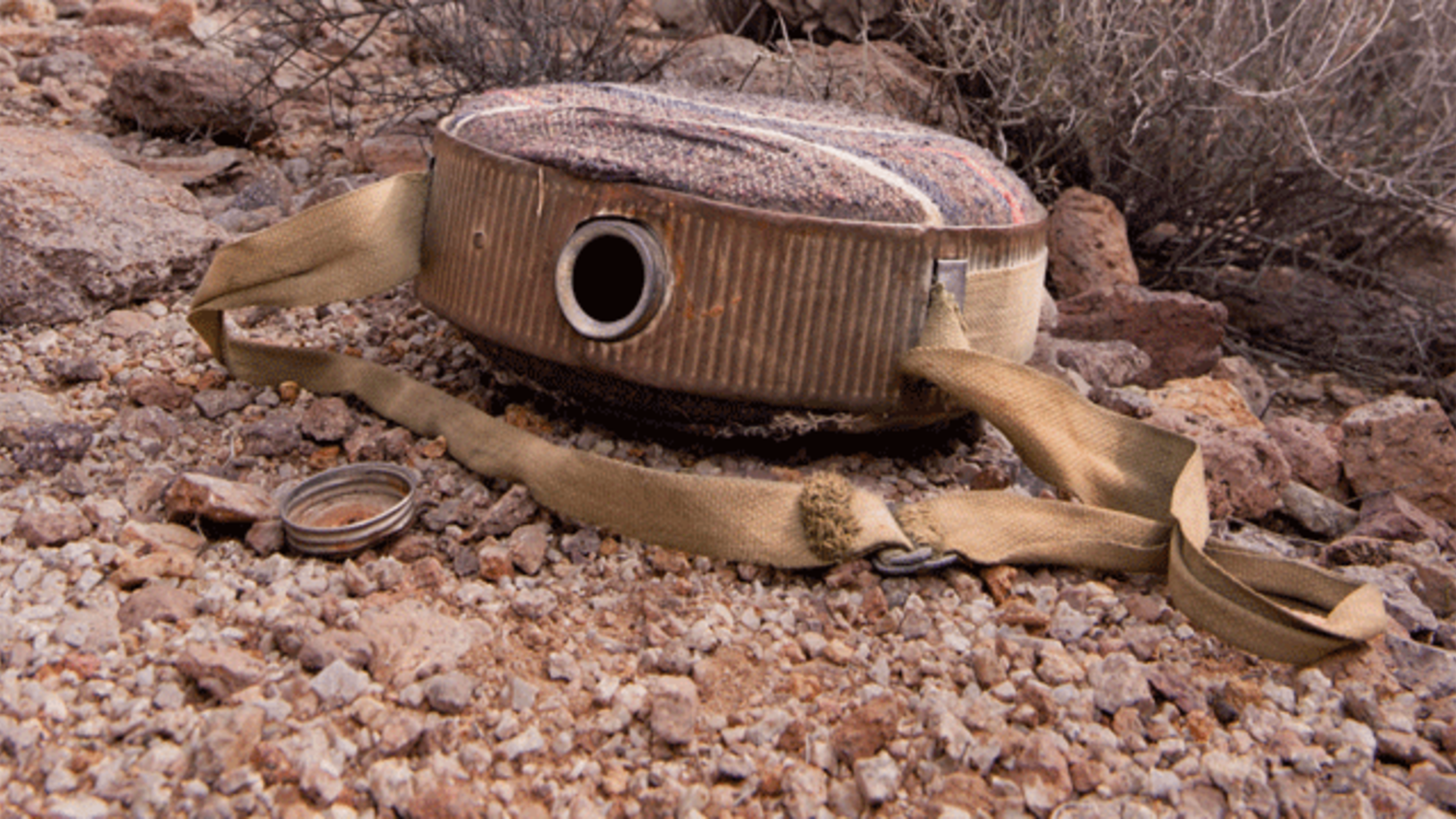 How to Survive Without Water | Mental Floss