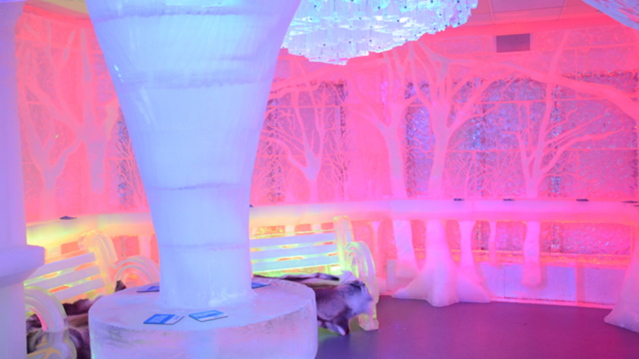 Photos of a Bar Made Entirely of Ice Mental Floss