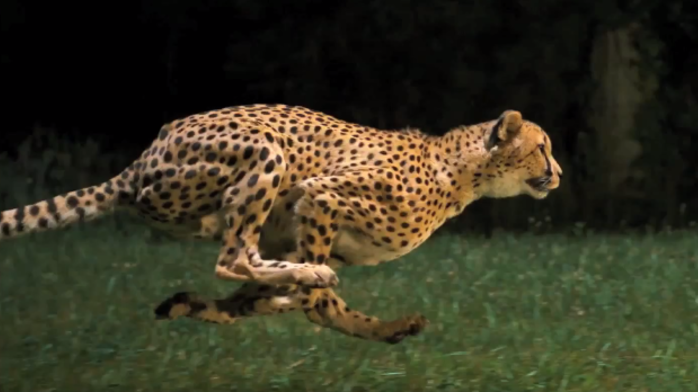 The Late Movies Life in Slow Motion Mental Floss