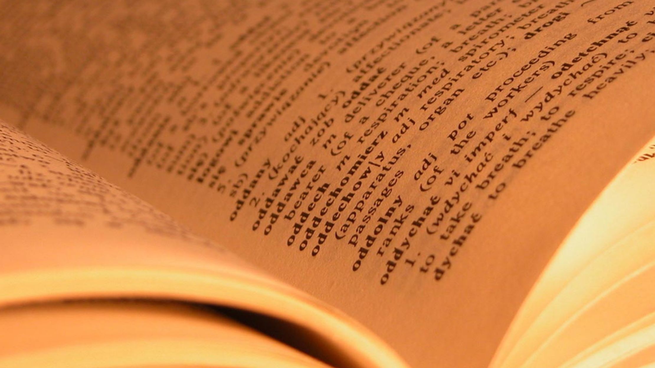 long german words in english long german words in english