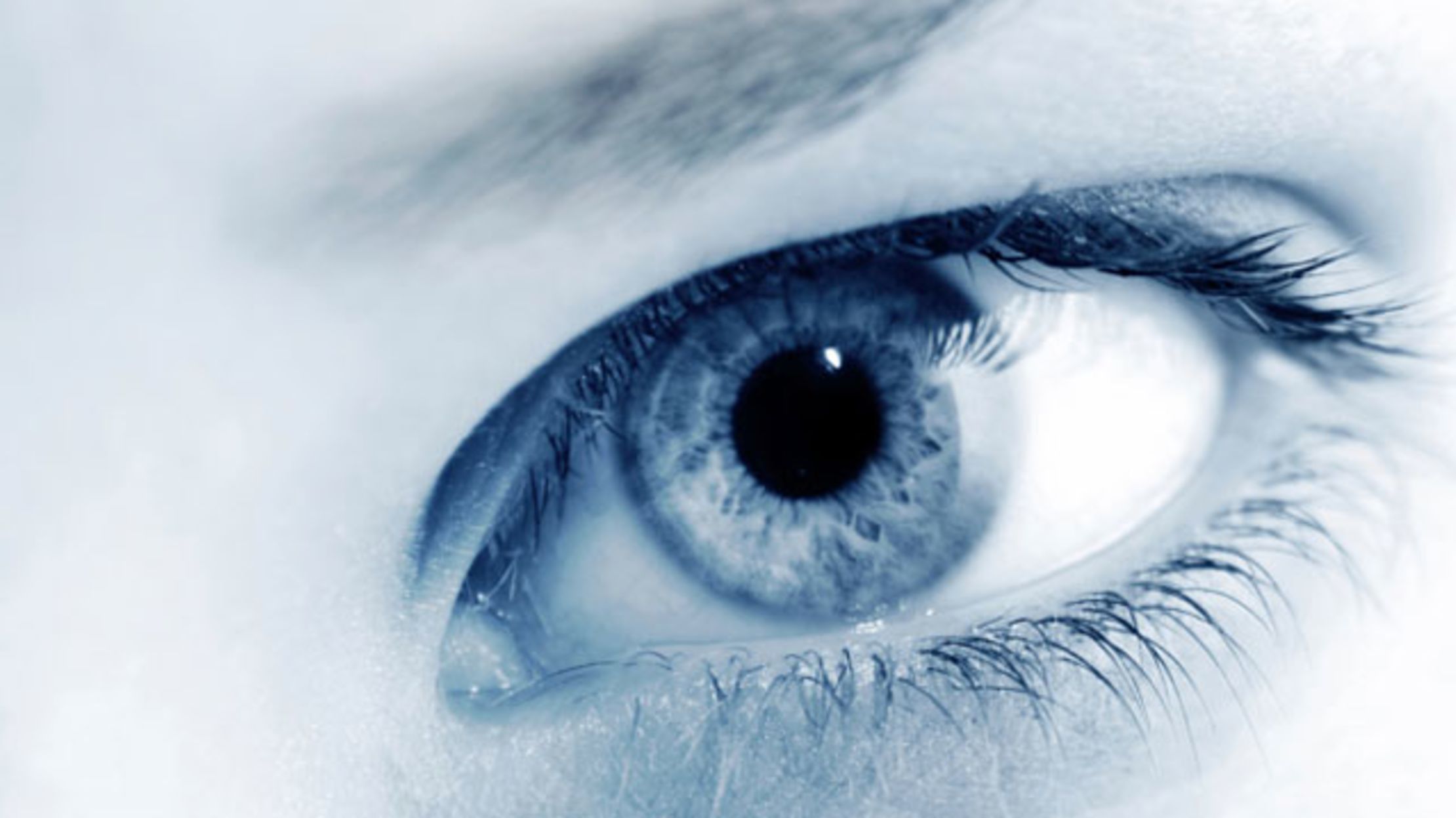 What 11 Pairs of Eyeballs Watching a Movie Looks Like Mental Floss