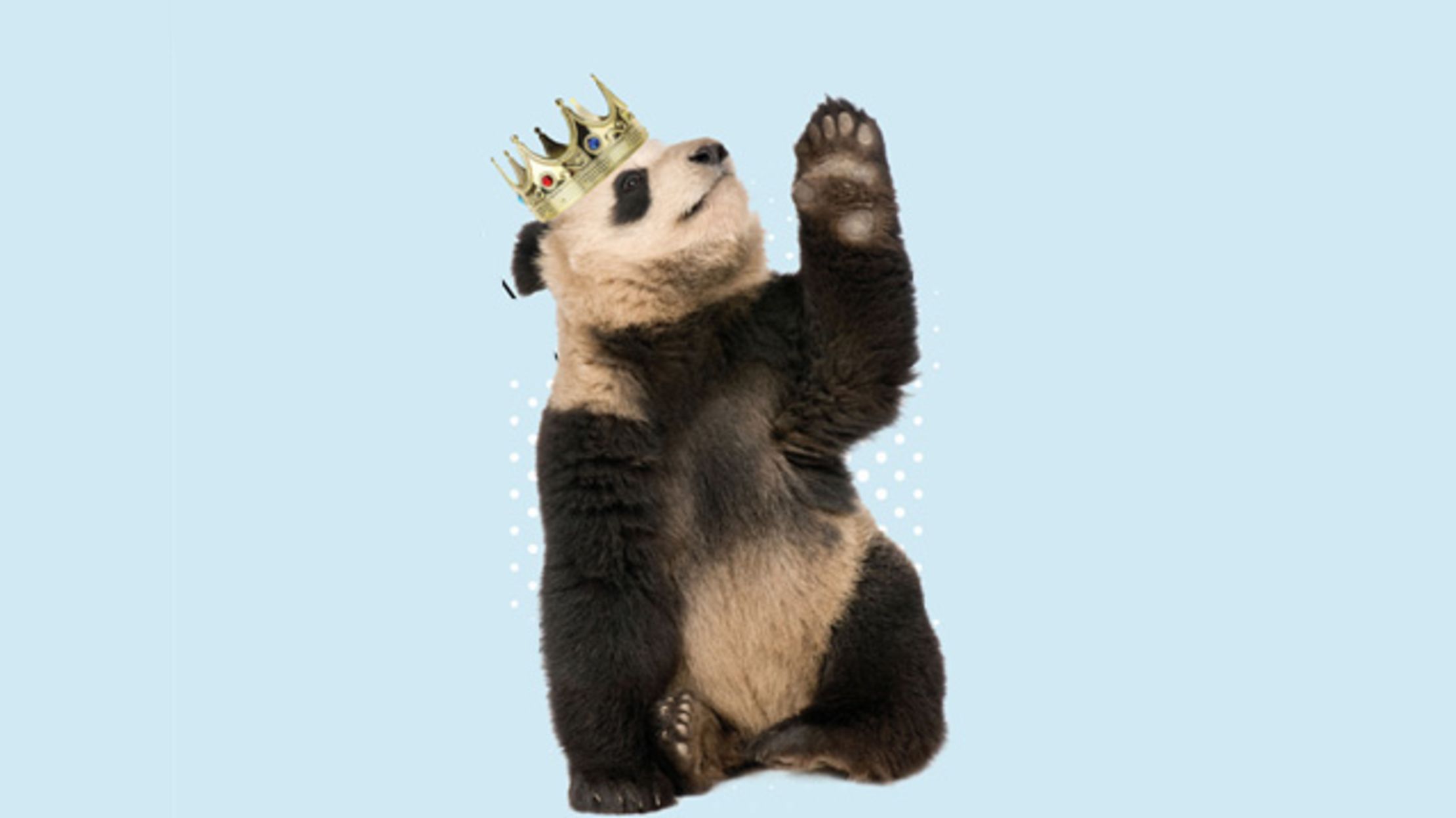 Why Pandas Are Terrible Investments | Mental Floss