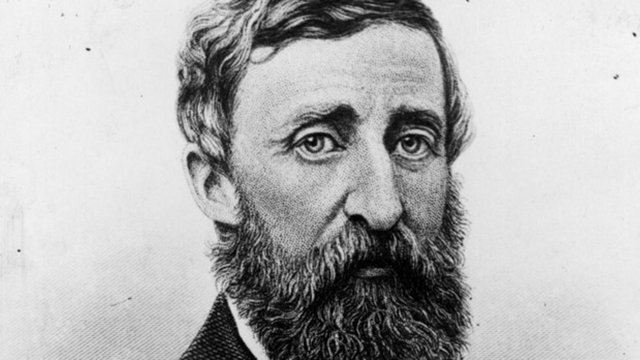 A short biography of henry david thoreau a great american author and philosopher picture