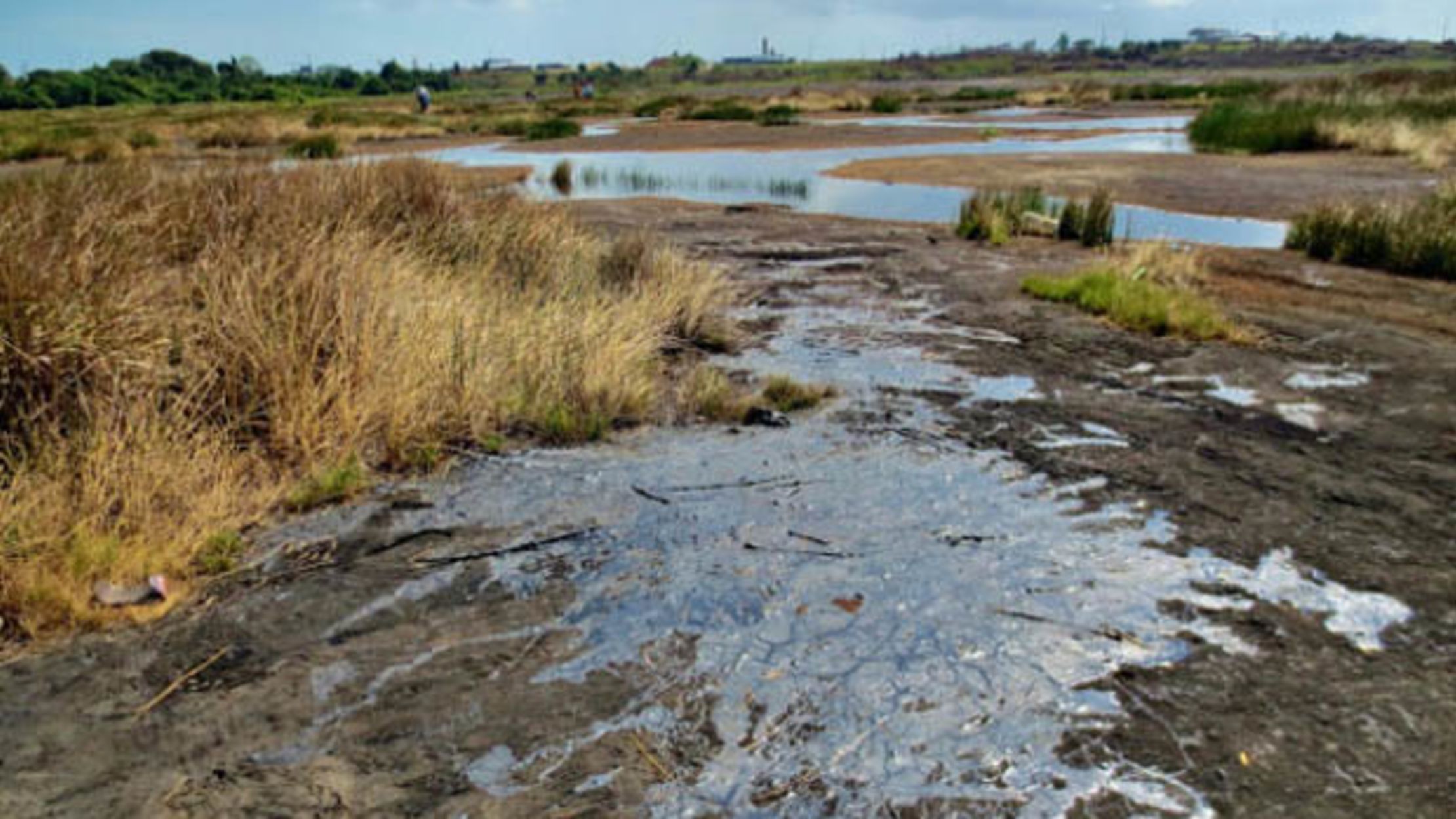 This is Where Tar Comes From Mental Floss