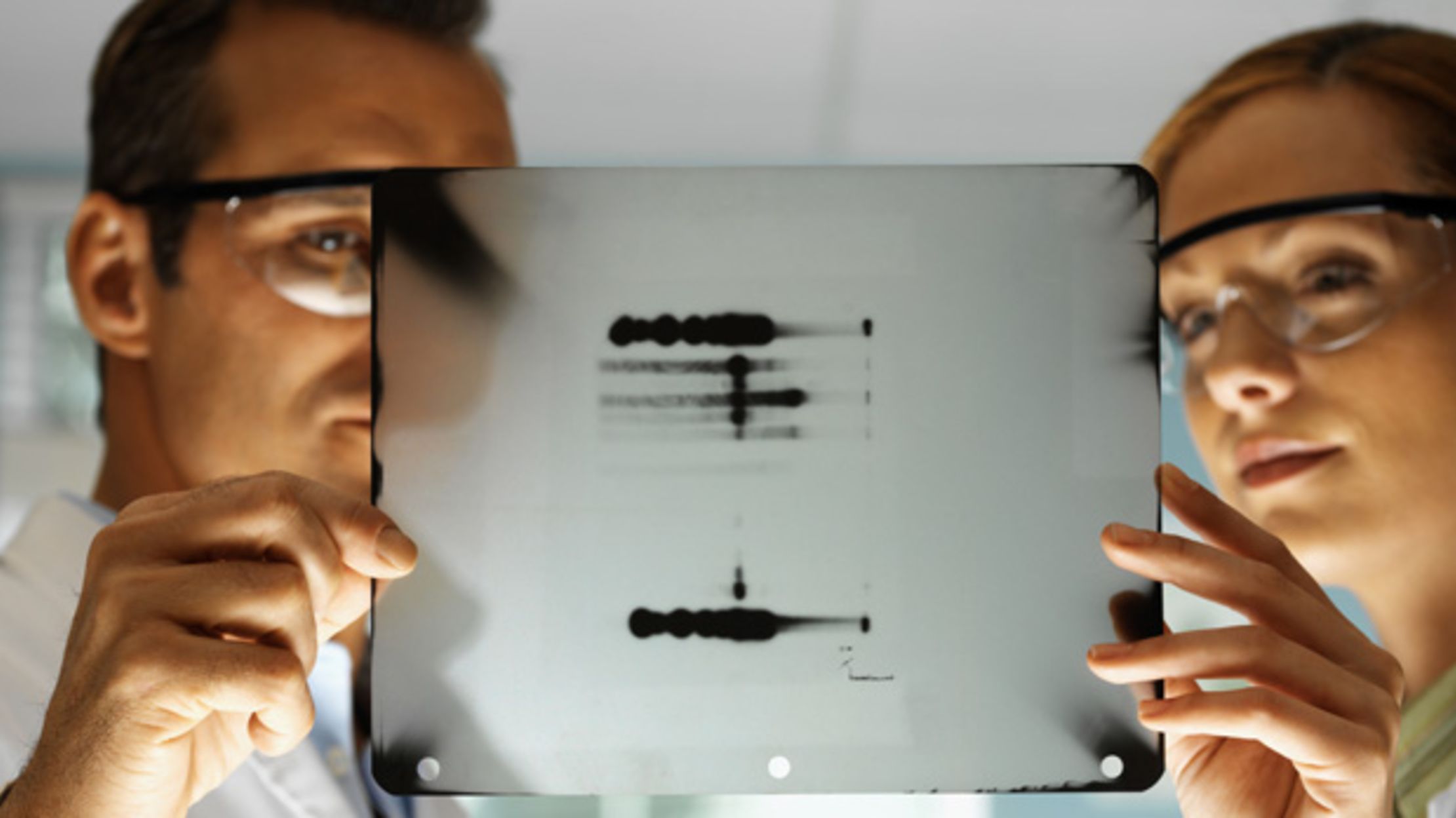 How Long Does DNA Last? | Mental Floss