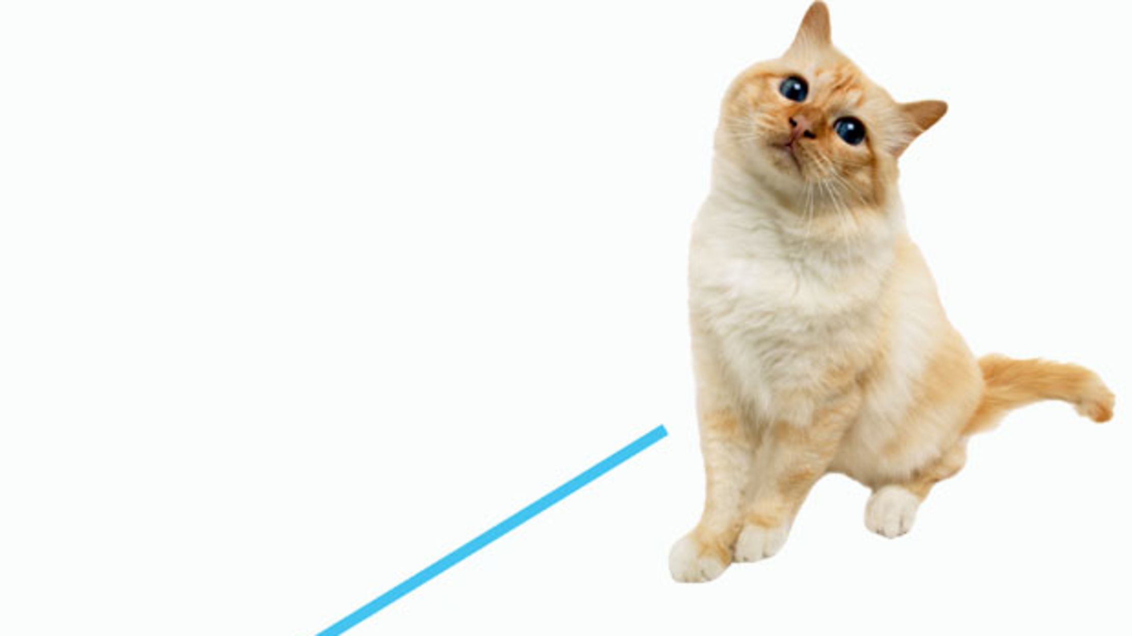 Is it Kitty Corner, Katty Corner, or Kattywumpus? Mental Floss