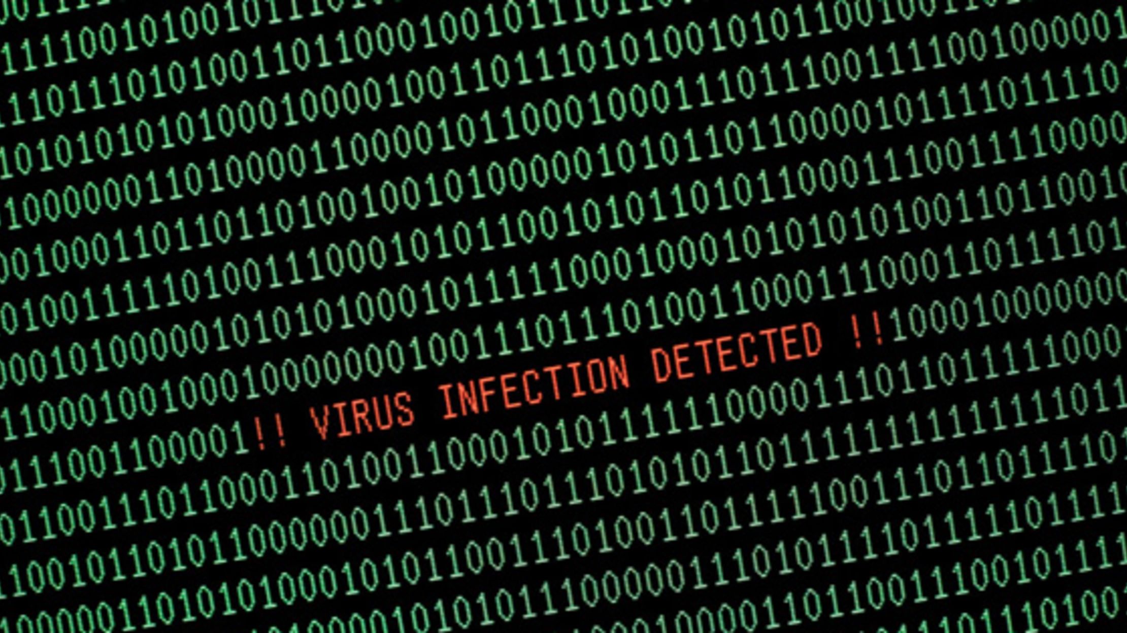 Going viral how two pakistani brothers created the first pc virus