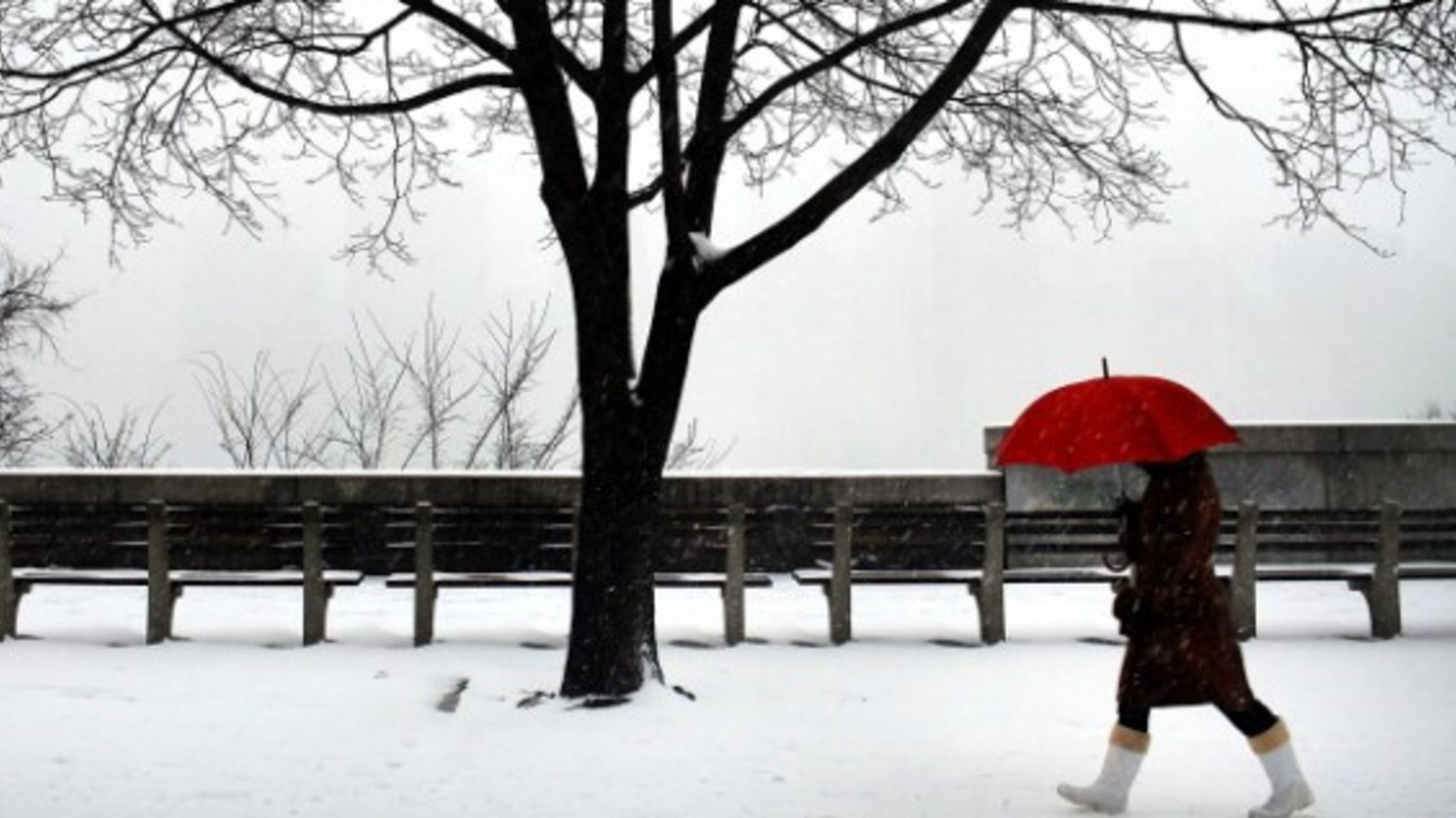 Why Are Winter Storms Suddenly Getting Named Mental Floss