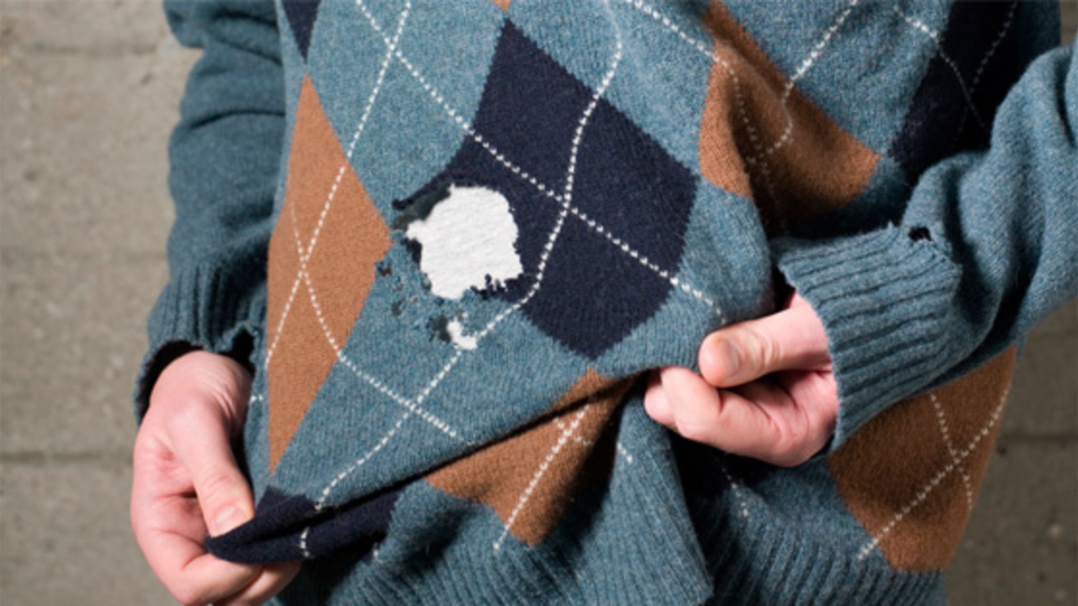 Why Do Moths Eat Clothes Mental Floss