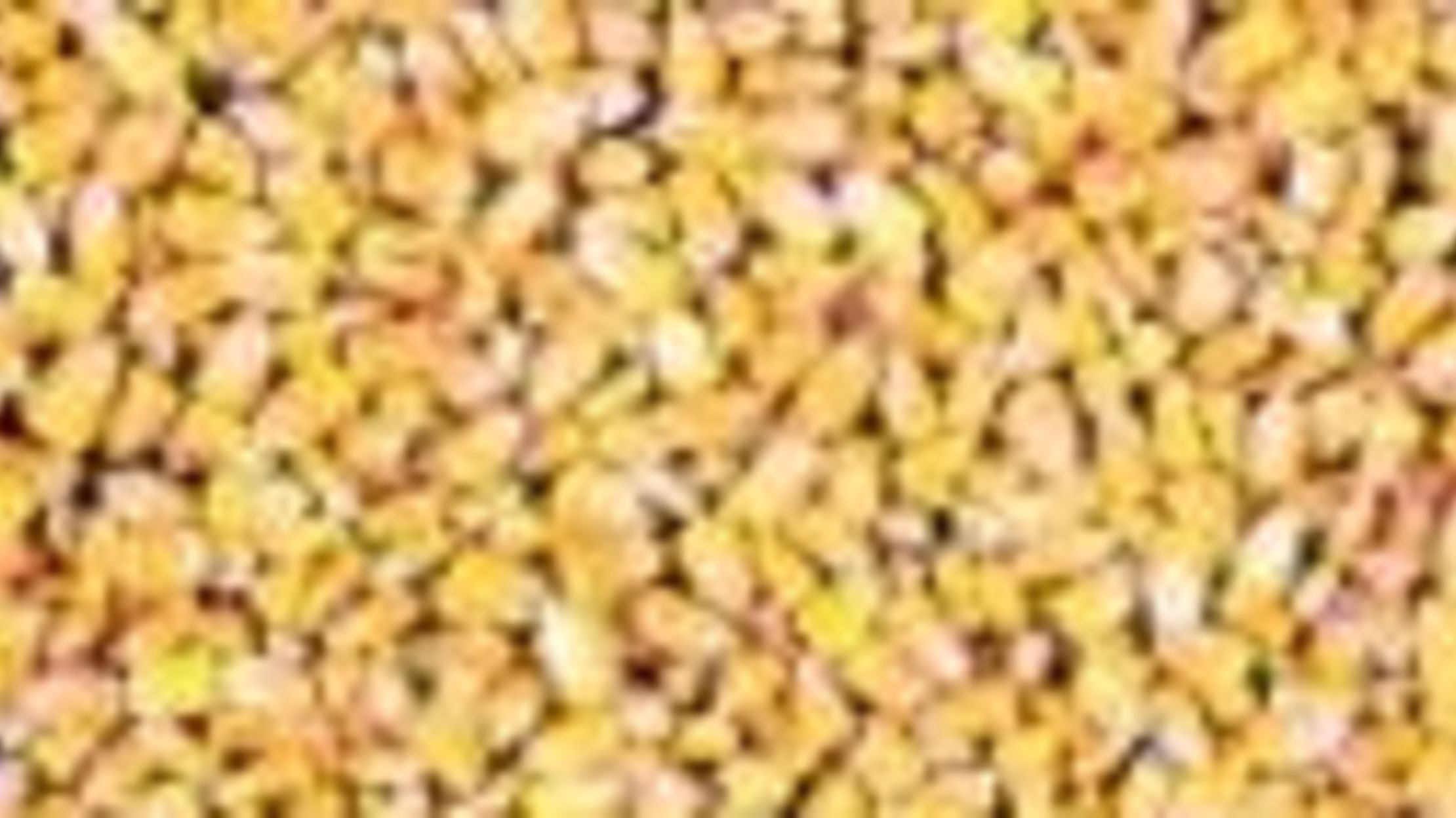 Jimmy Crack Corn Mental Floss