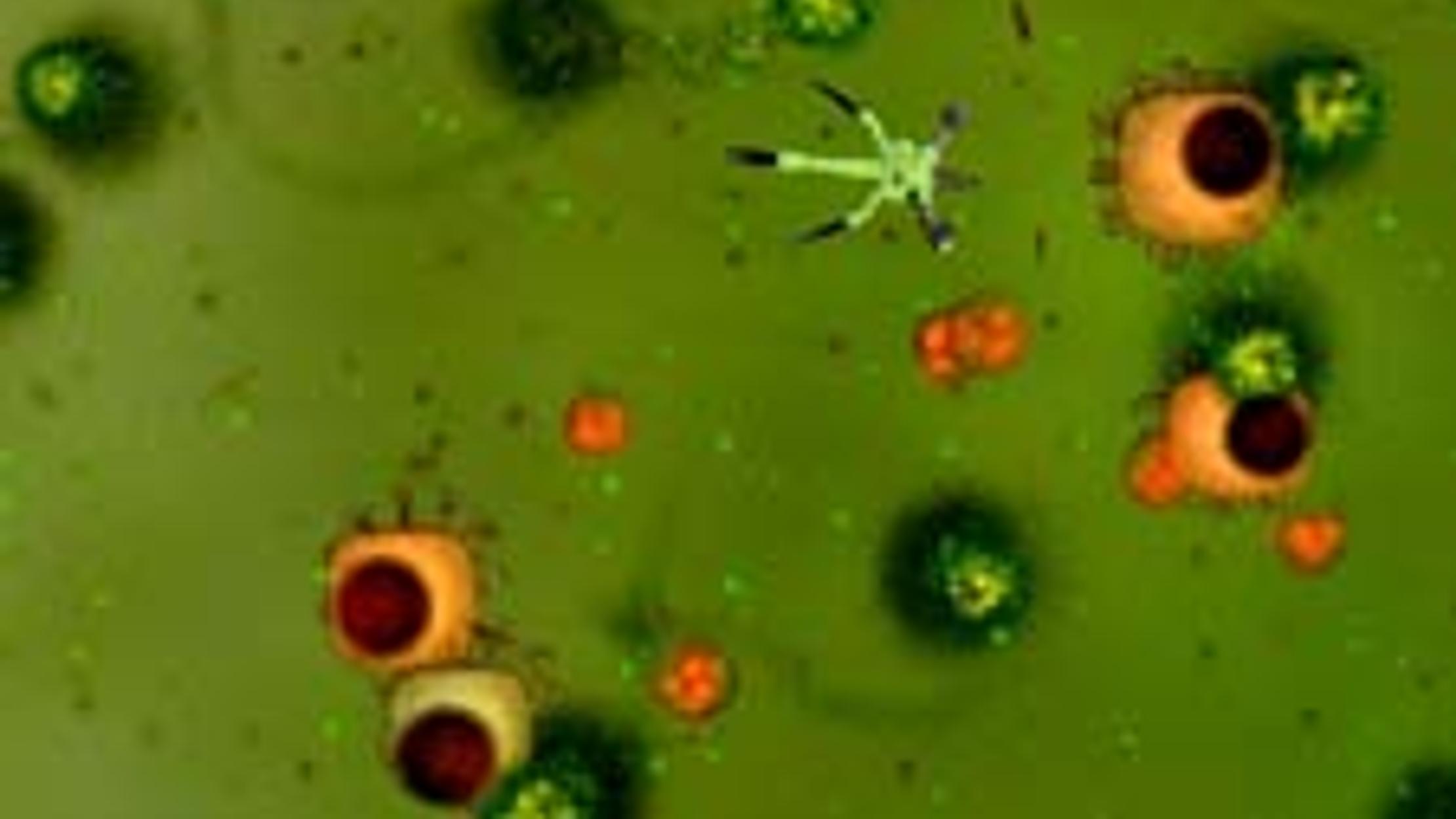 The Best Video Game Ever Mental Floss