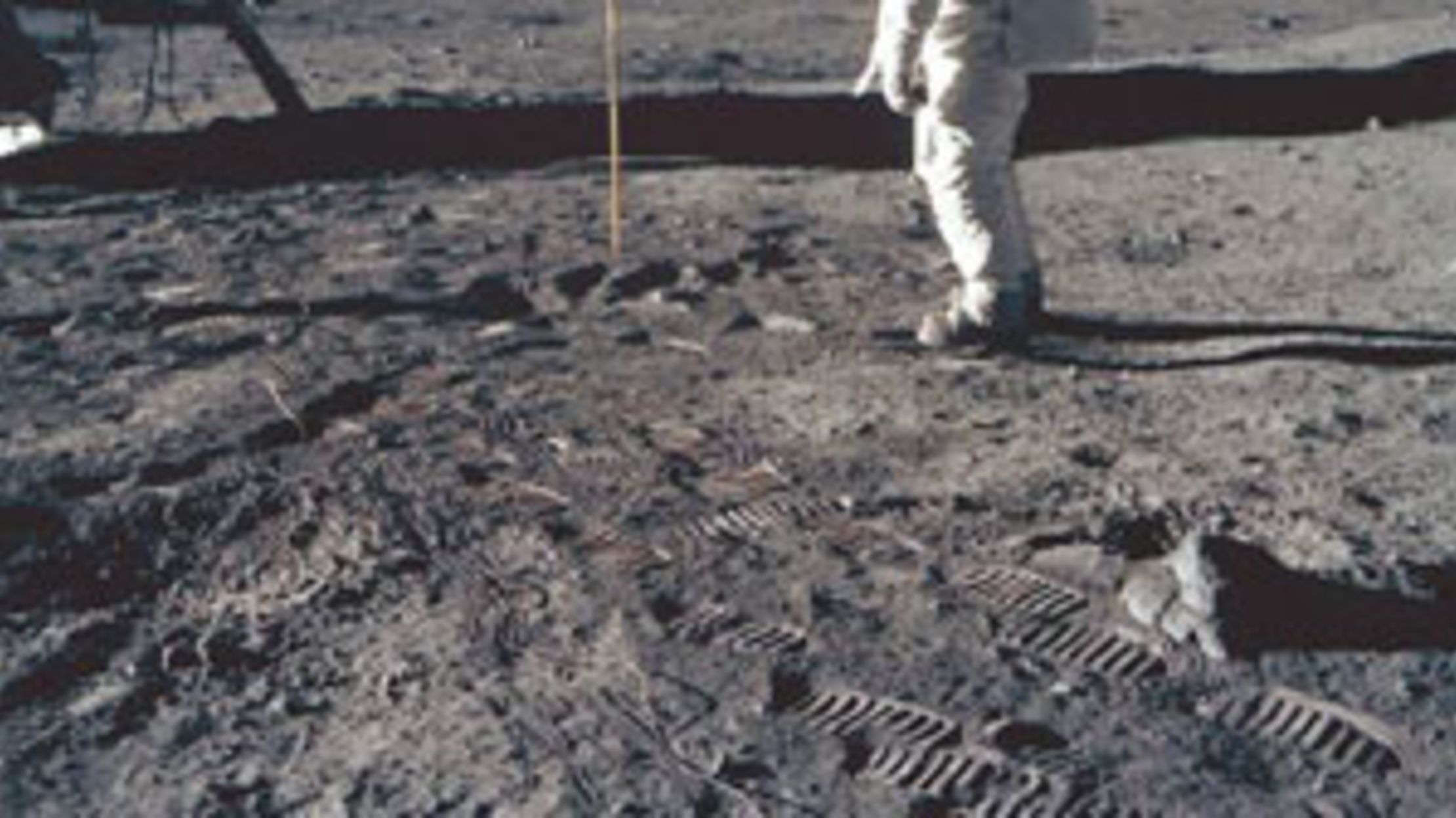 What Neil Armstrong Meant To Say Mental Floss