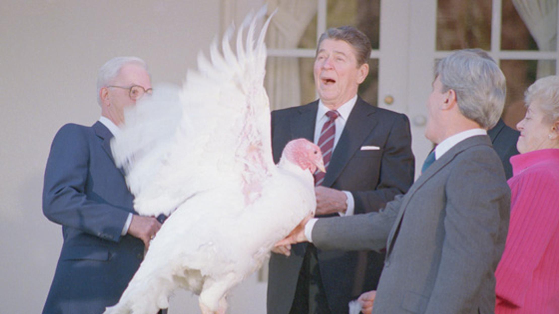 Free Bird: The History of Presidential Turkey Pardoning ...
