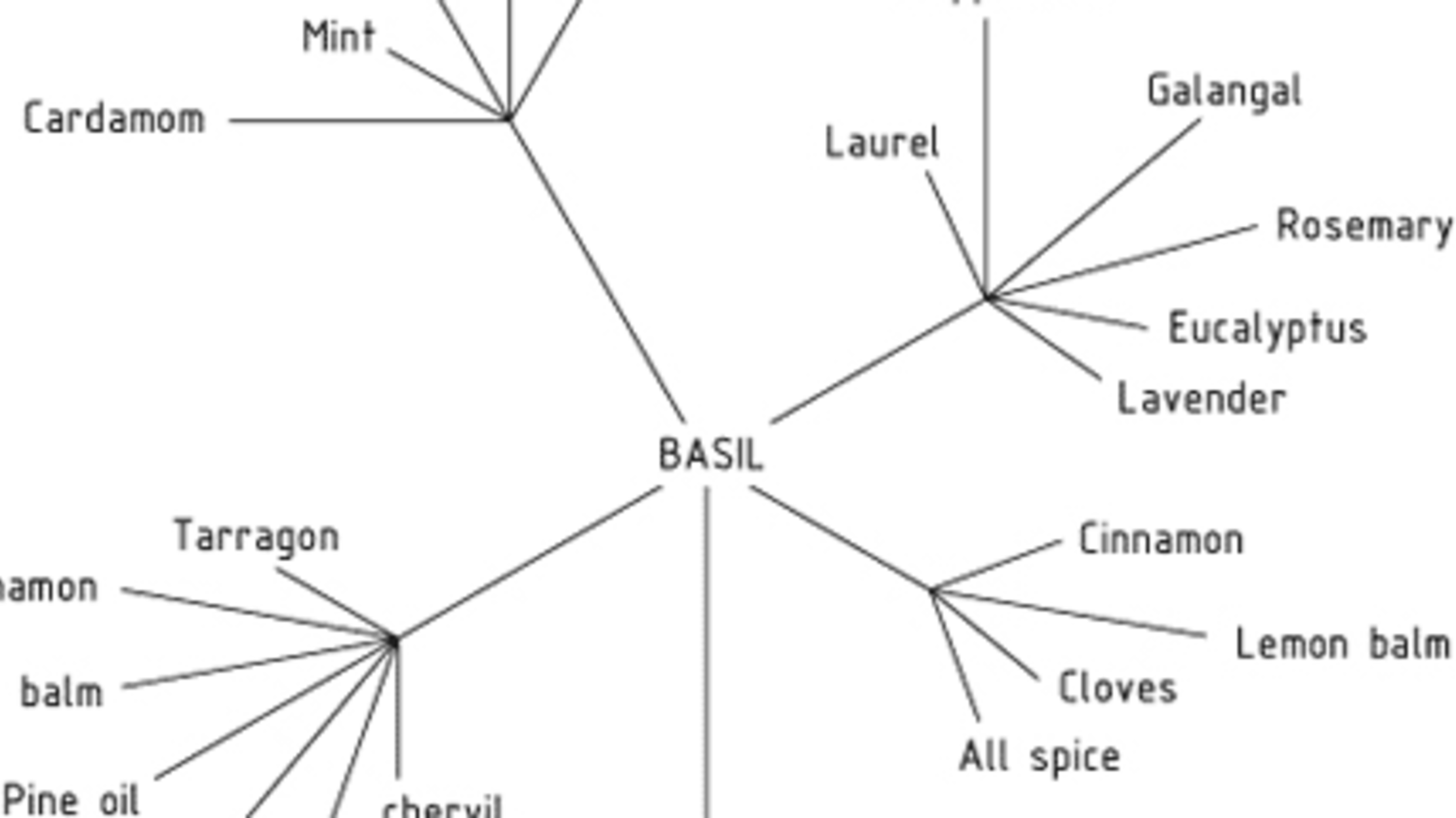 Food Pairing Diagrams | Mental Floss