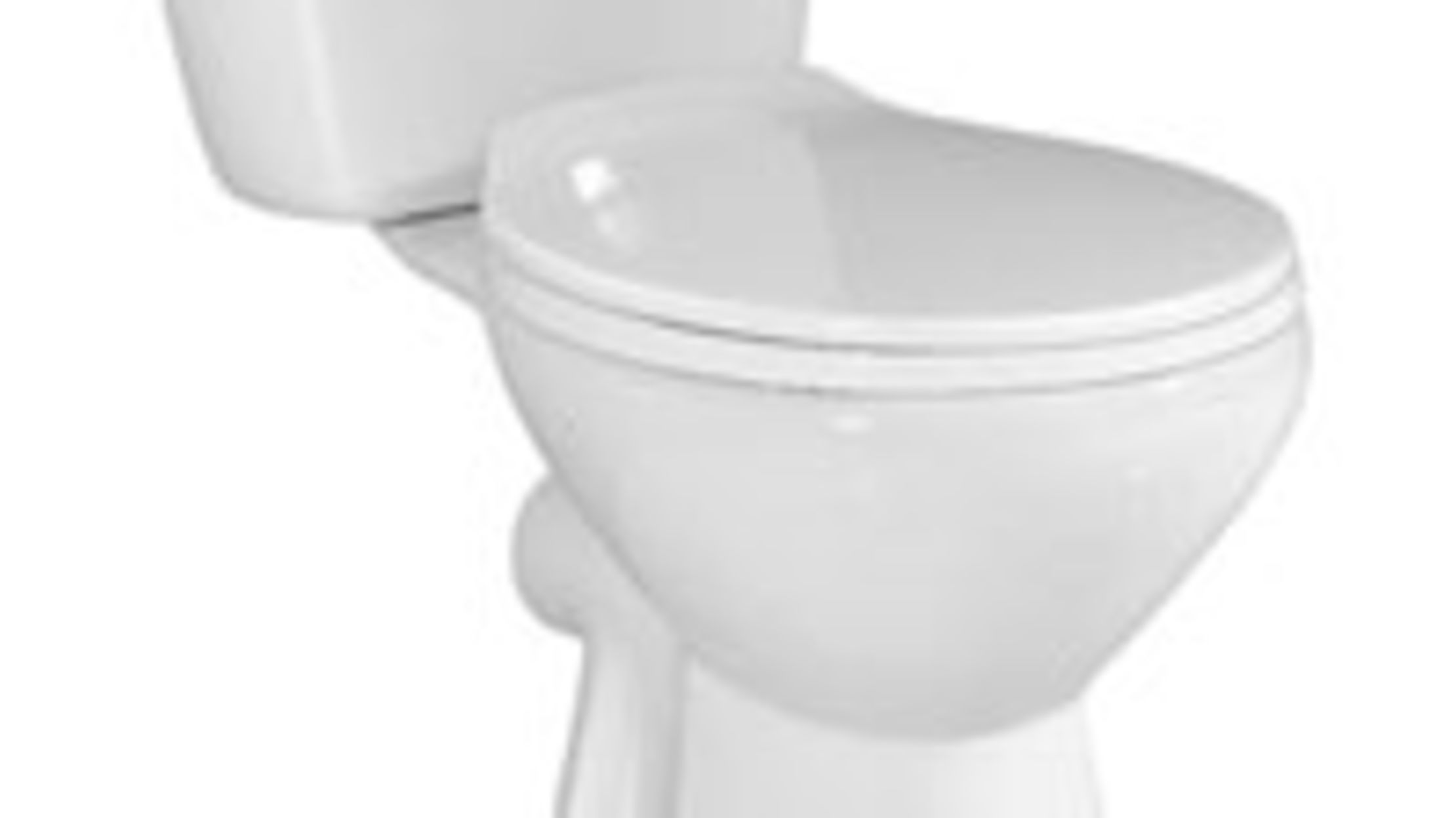 Happy World Toilet Day! Mental Floss