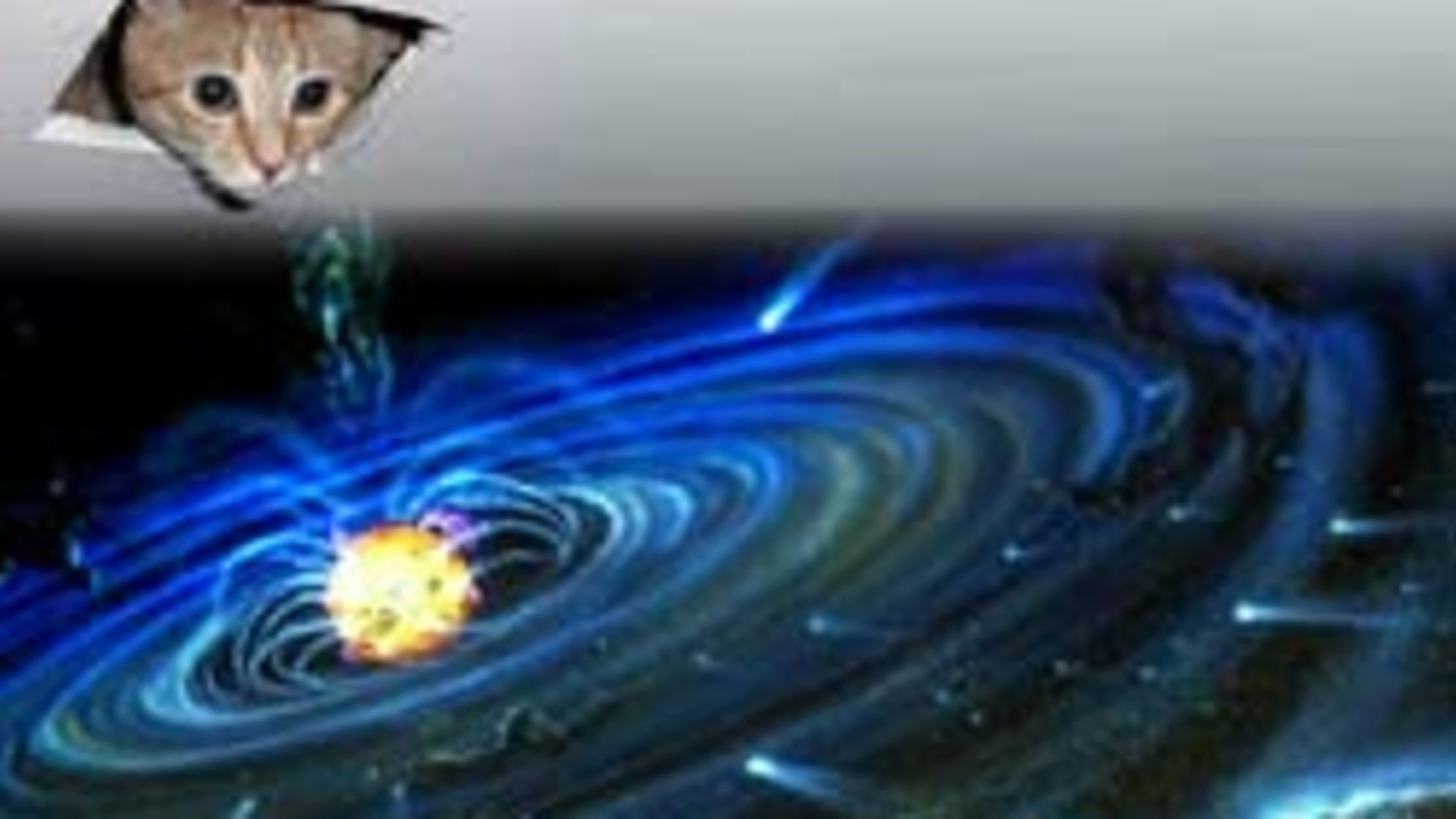 The Lolcat Bible Translation Project Mental Floss