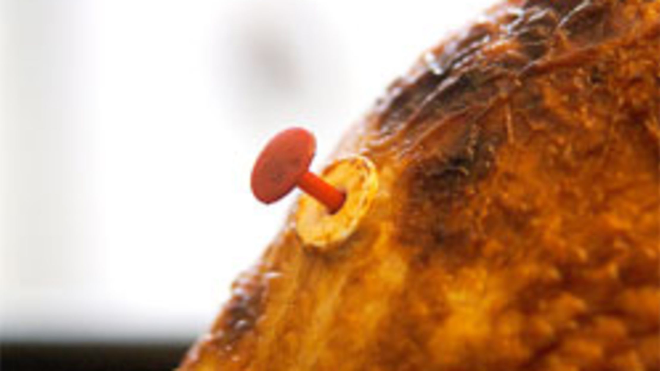 where do you put a pop up turkey timer