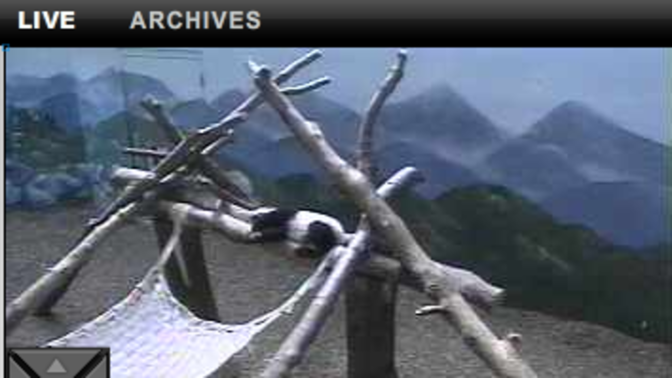 Top 11 Live Web Cams - Mental Floss