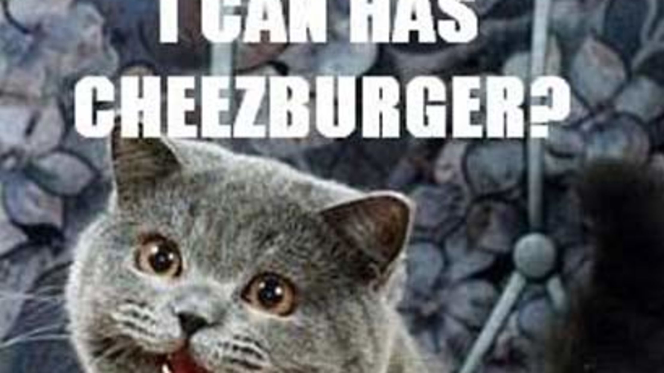 I can haz cheezburger feline crossword