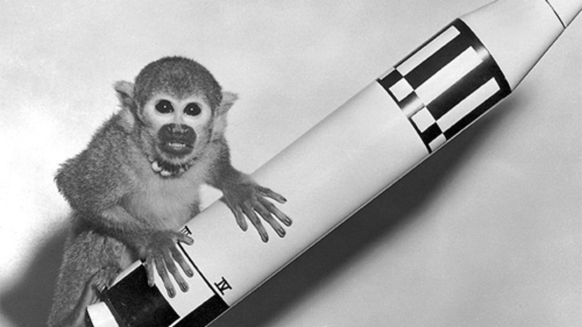 A Brief and Incomplete History of Launching Animals Into Space | Mental