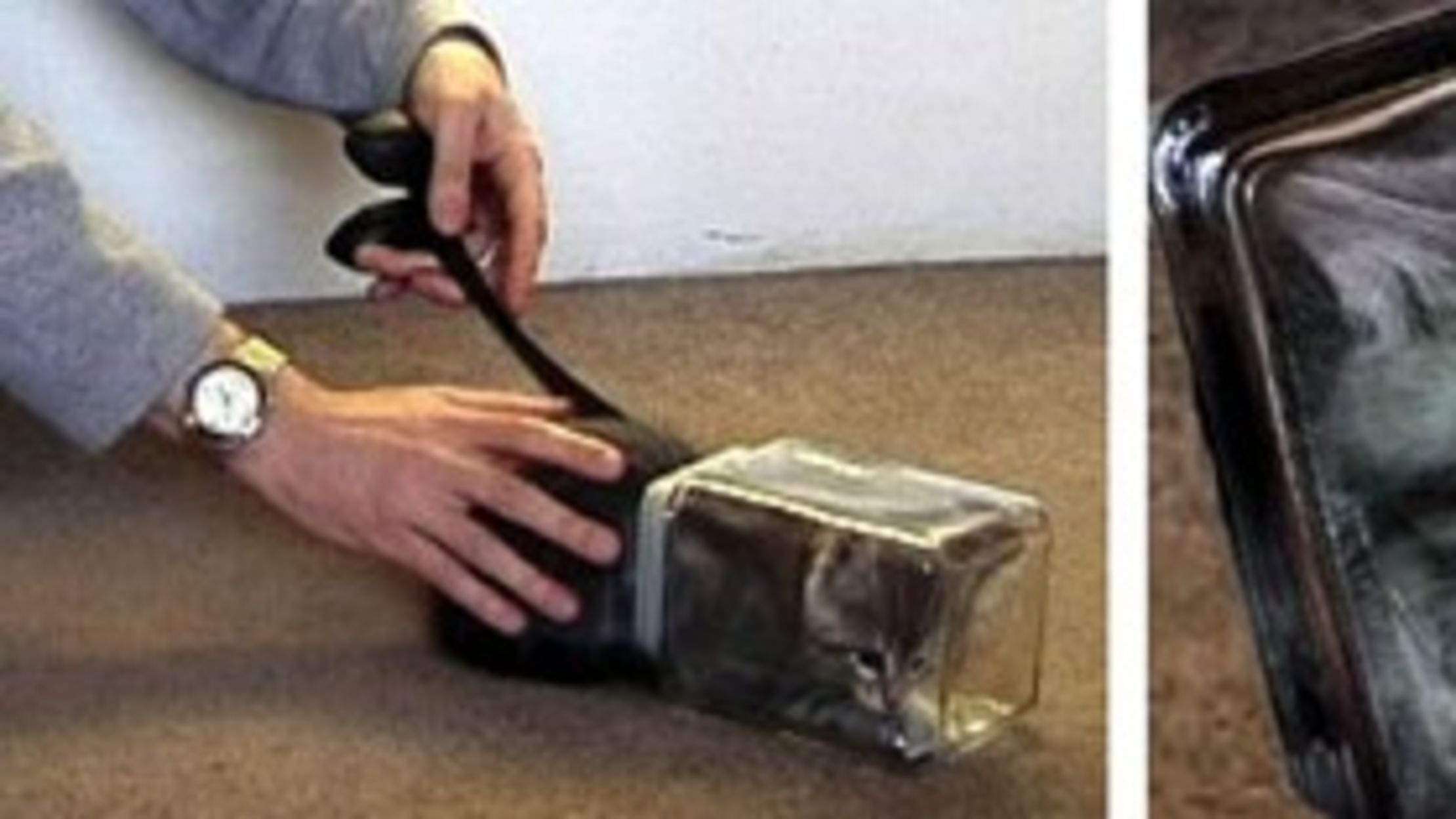 6 College Pranks We Wish We'd Thought Of Mental Floss