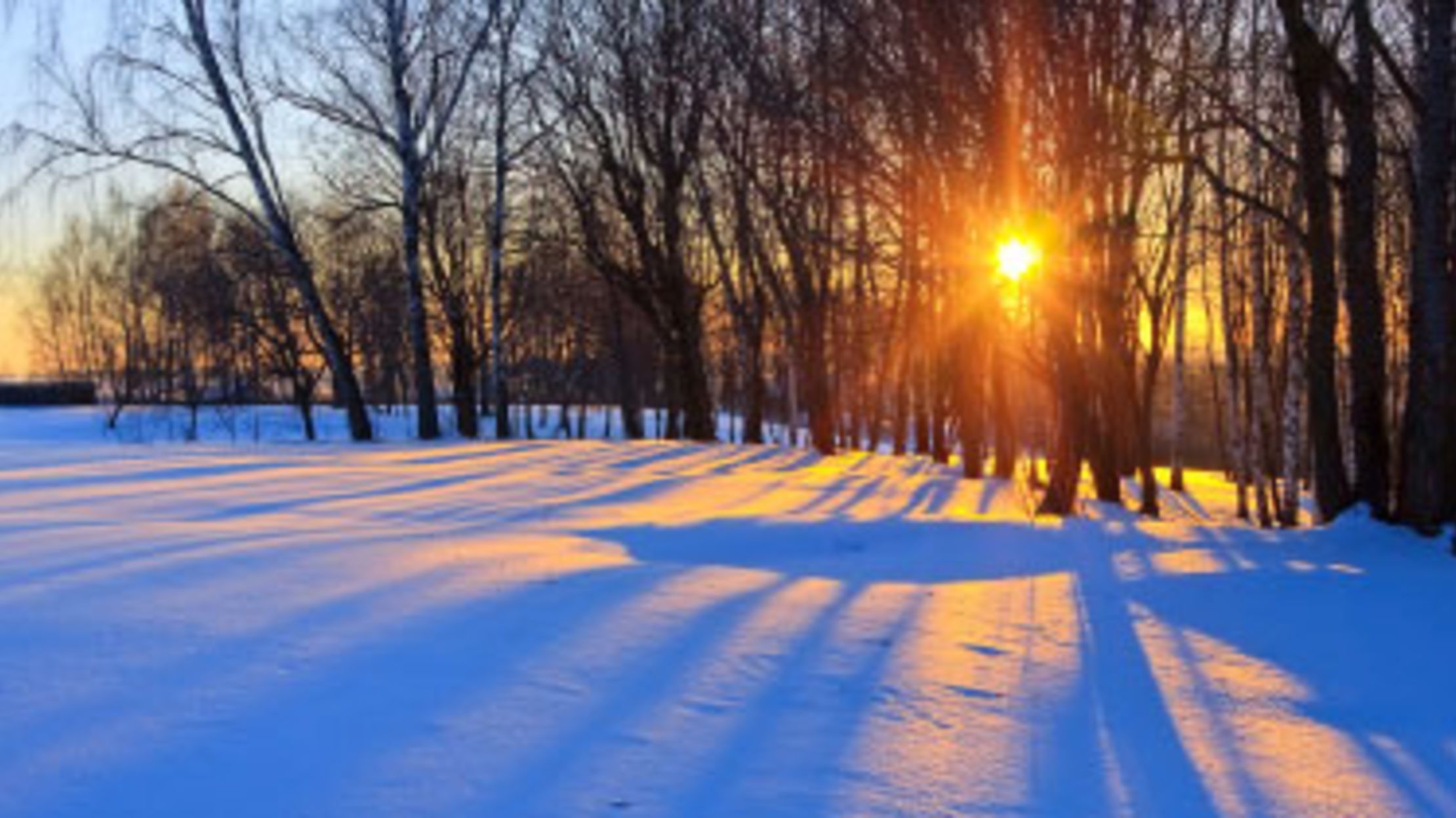 Why Is Snow White? Mental Floss