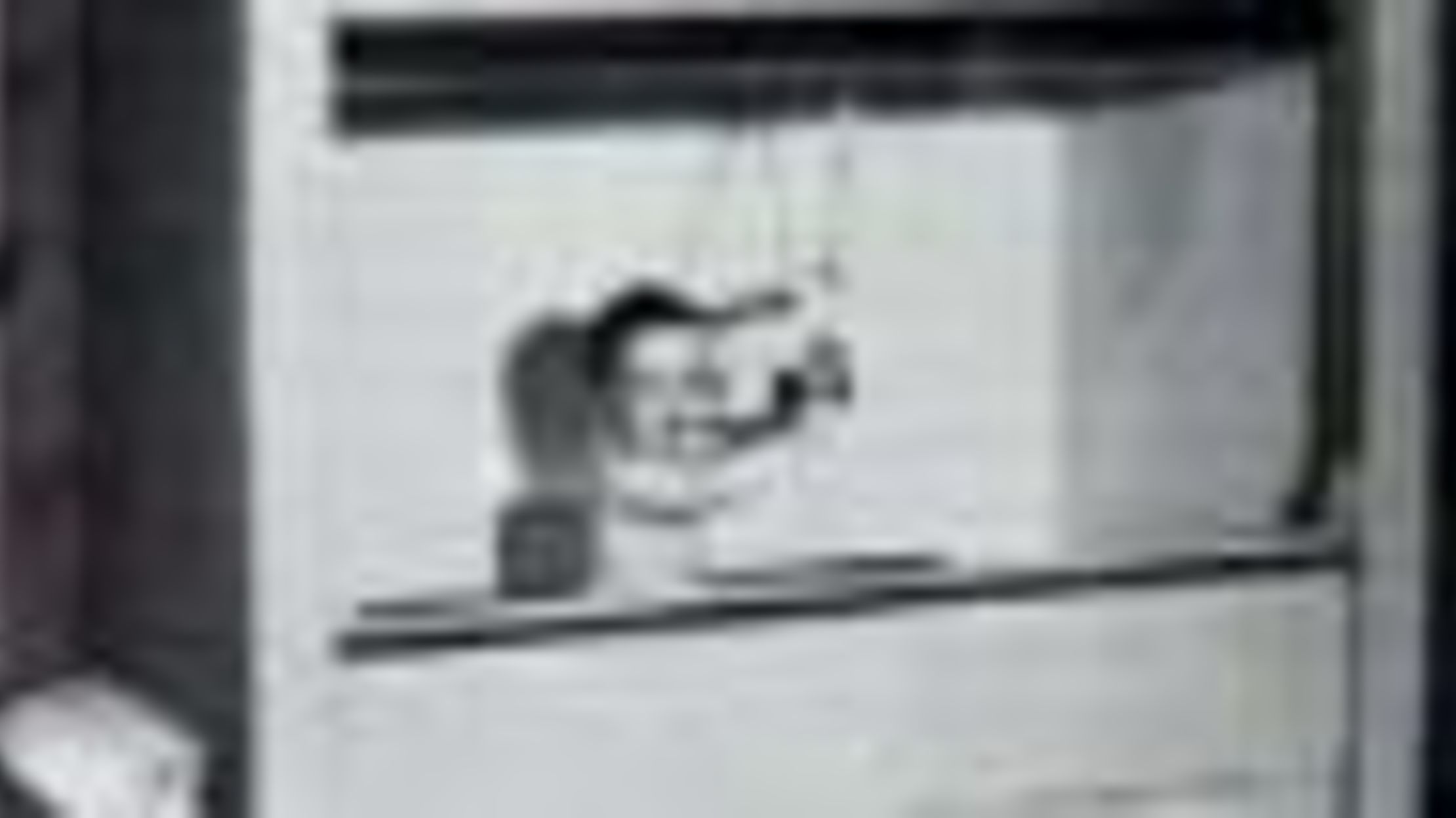 Skinner's babies Mental Floss