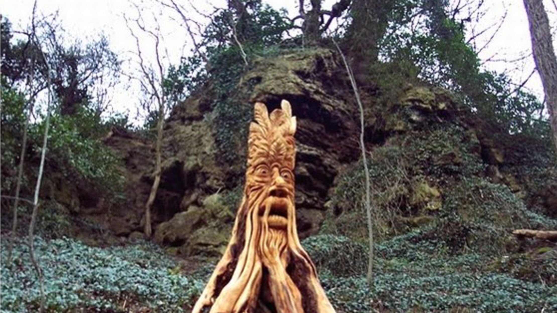 10 Artists Who Work in Trees Mental Floss