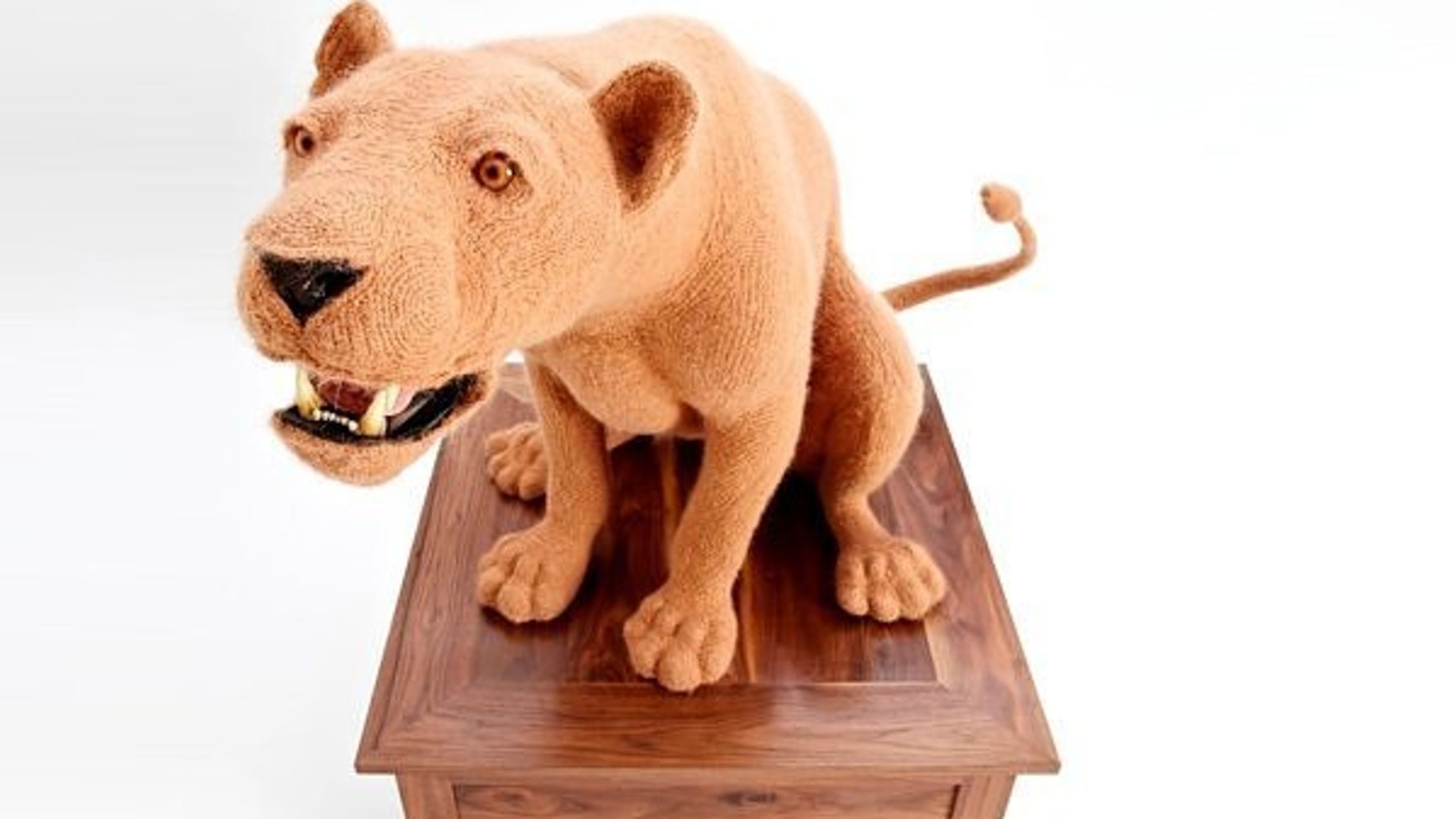 Crochet Taxidermy Mental Floss
