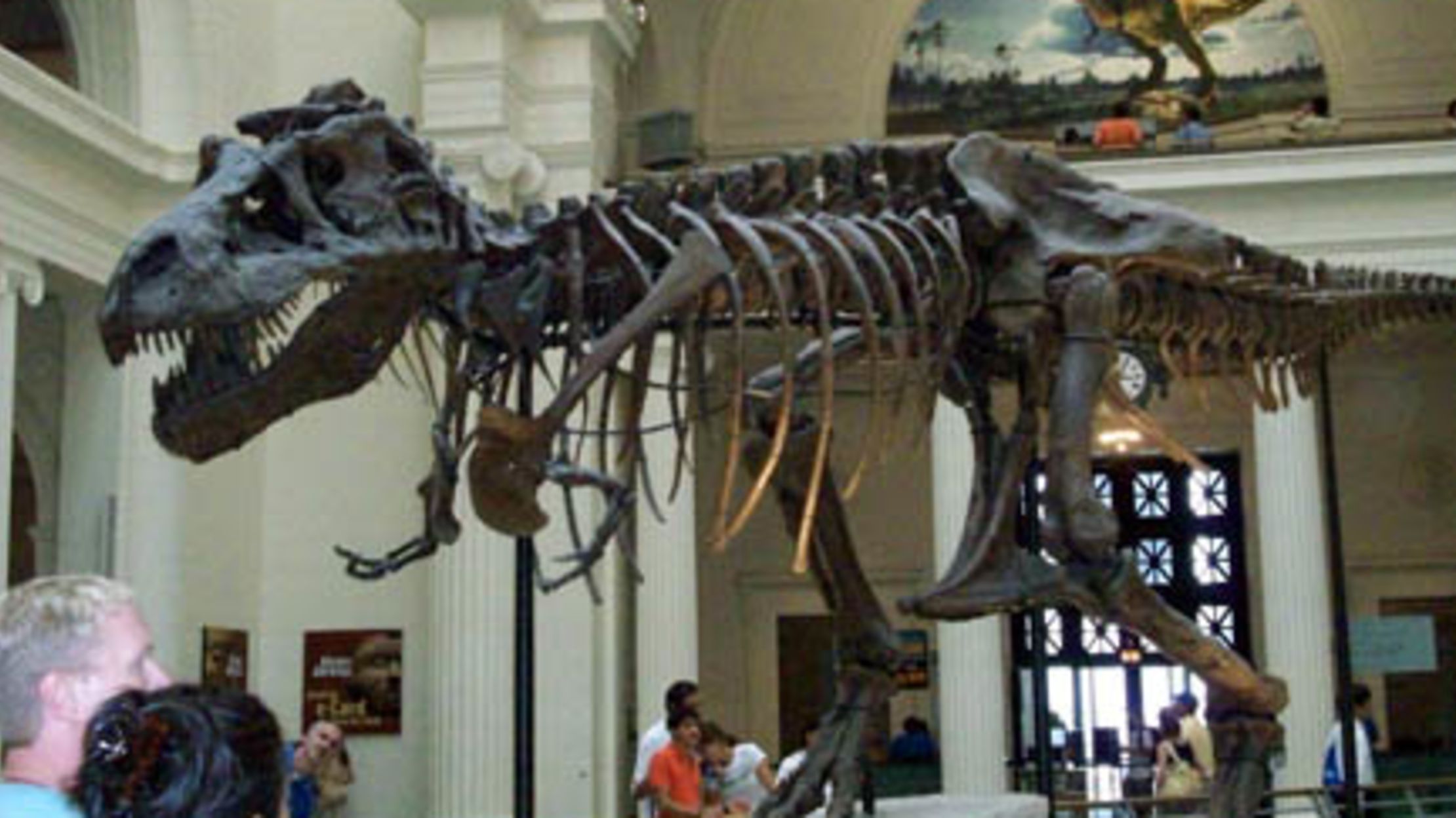 A Dino Named Sue: The Most Complete T. Rex Ever Found | Mental Floss