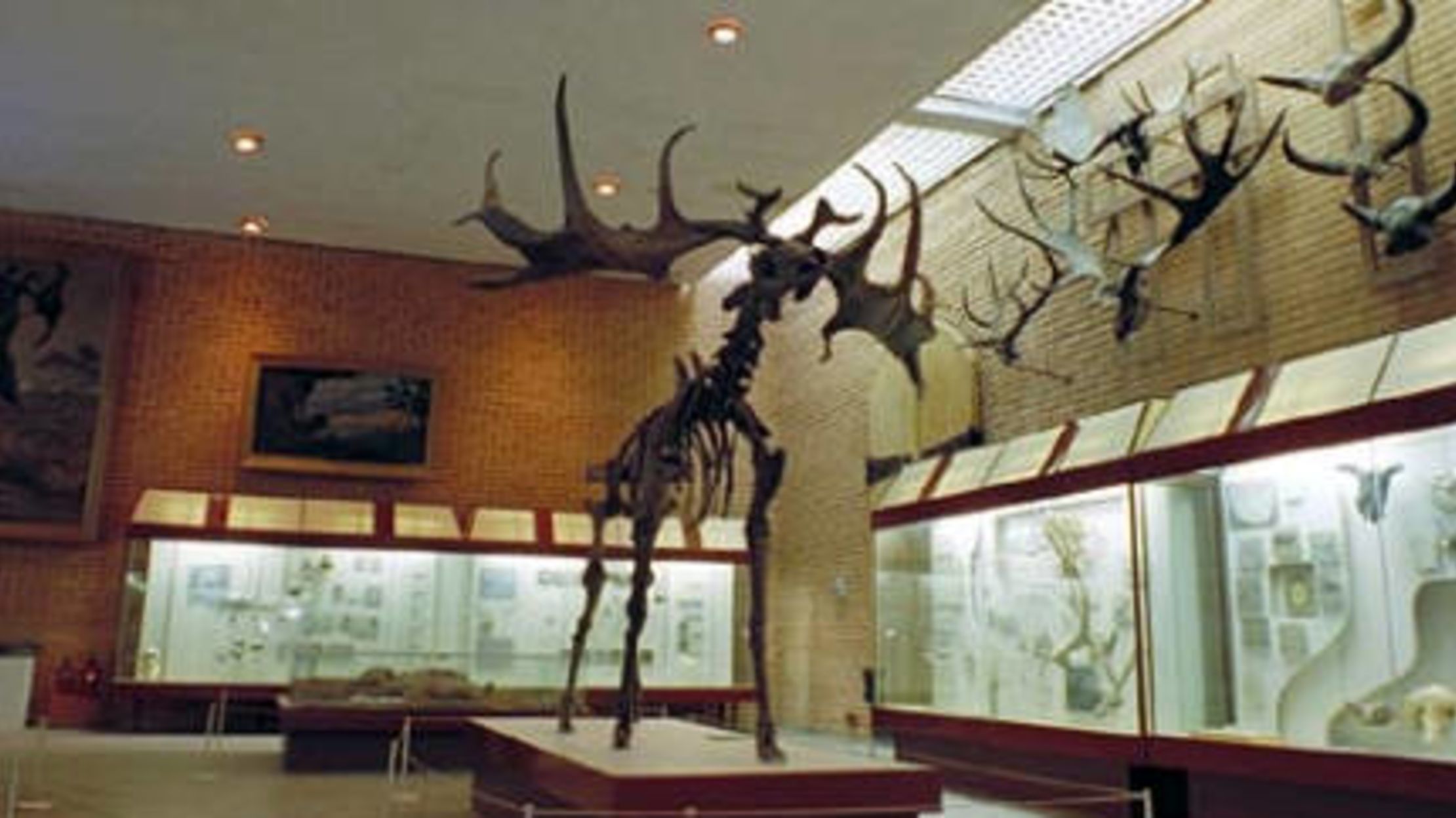 The Bigger They Are 10 Ice Age Giants Mental Floss
