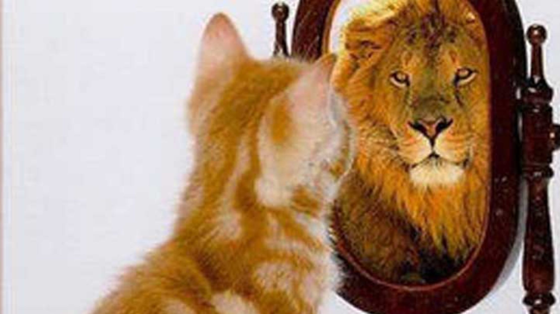 You Re Not As Hot As You Think You Are Mental Floss #uploadfullpicture #instagramtrick #instagram2020hey guys, welcome back!so in this video we are going to talk about how you can upload full pictures on. you re not as hot as you think you are