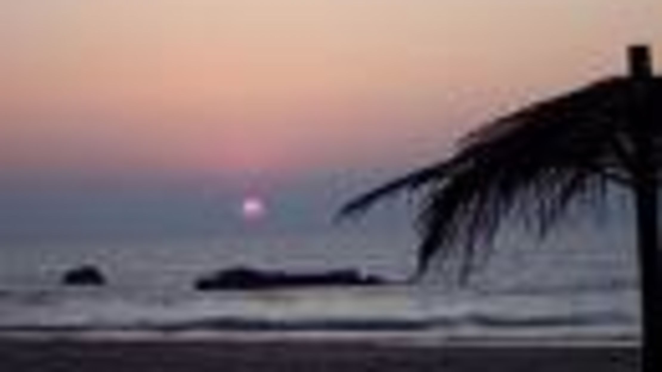 Beach sand as bacteria source shocking? Mental Floss