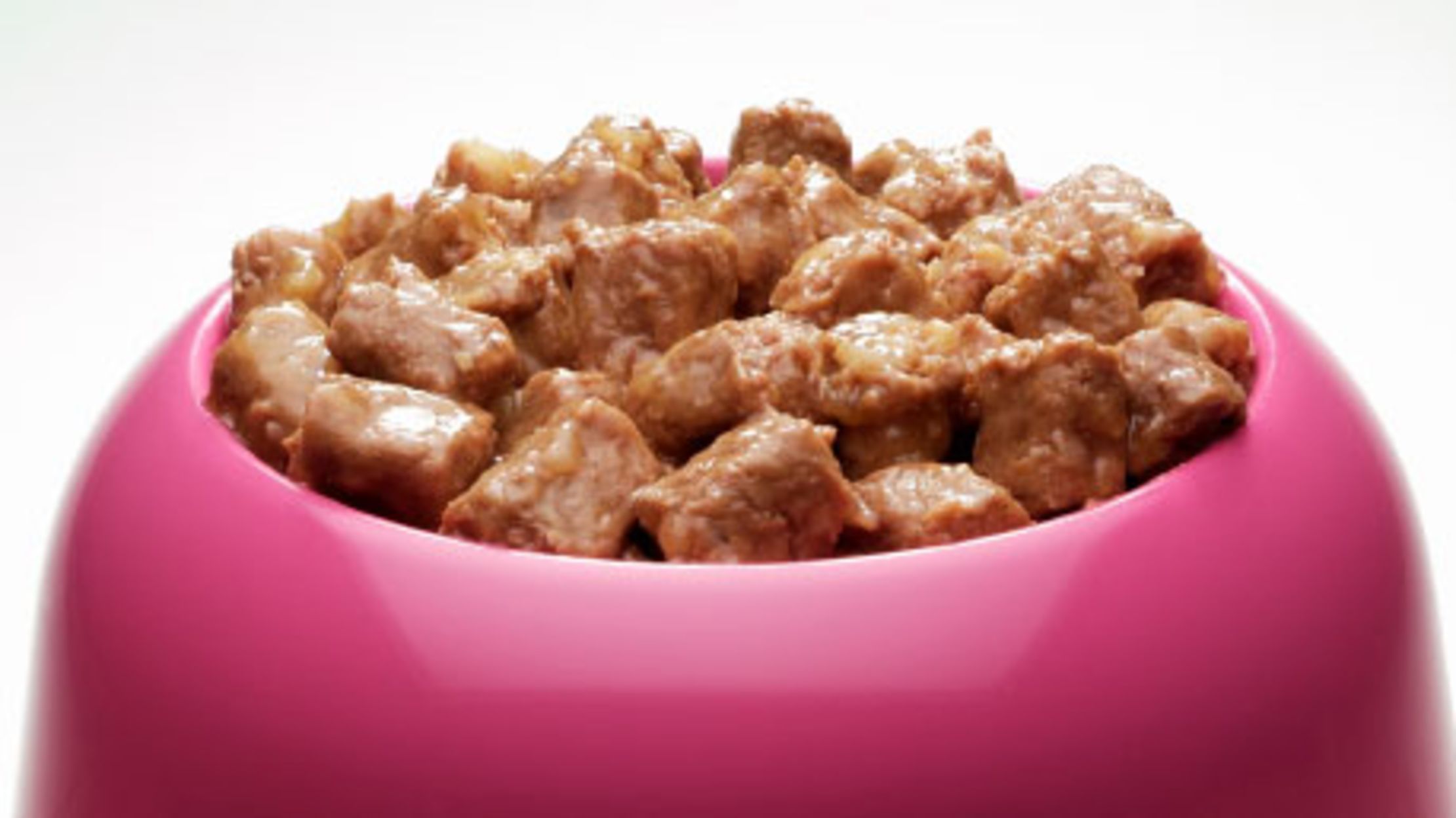 Inside the Surprisingly Delicious World of Cat Food Taste ...