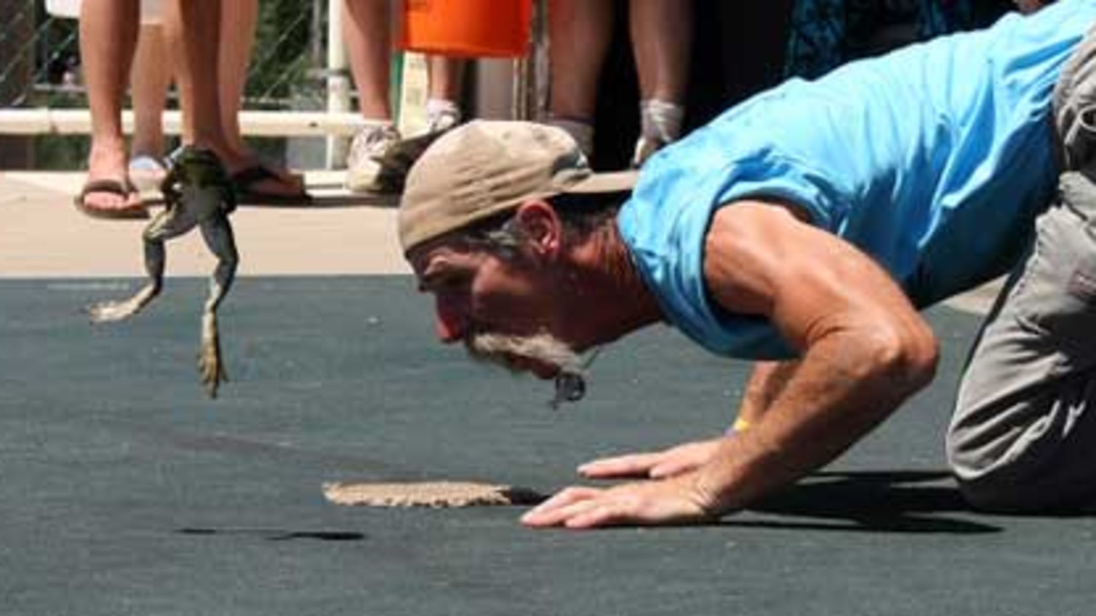 10 Great American Animal Races Mental Floss